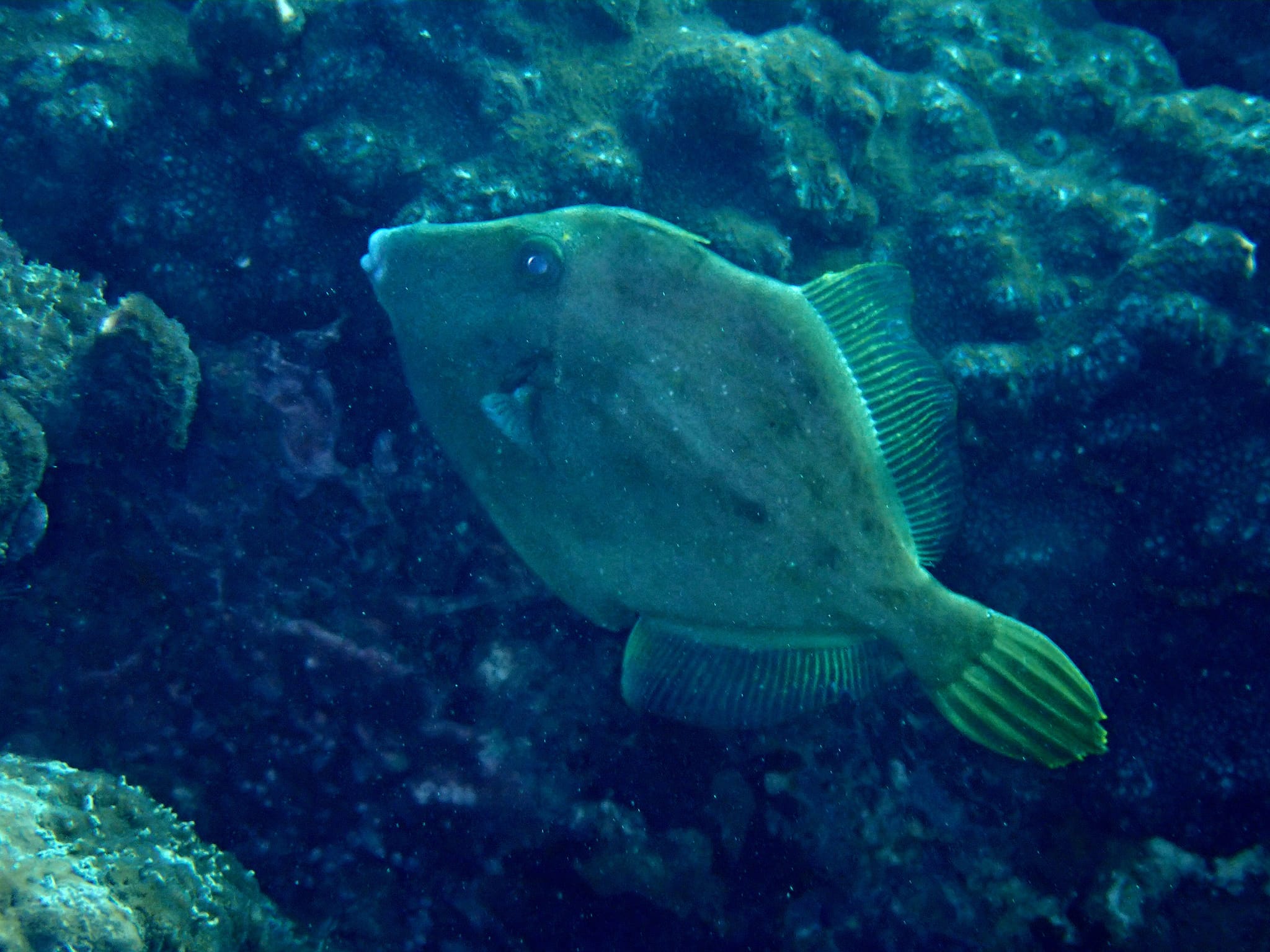 318171800_2749578558506981_3408259732804539267_n