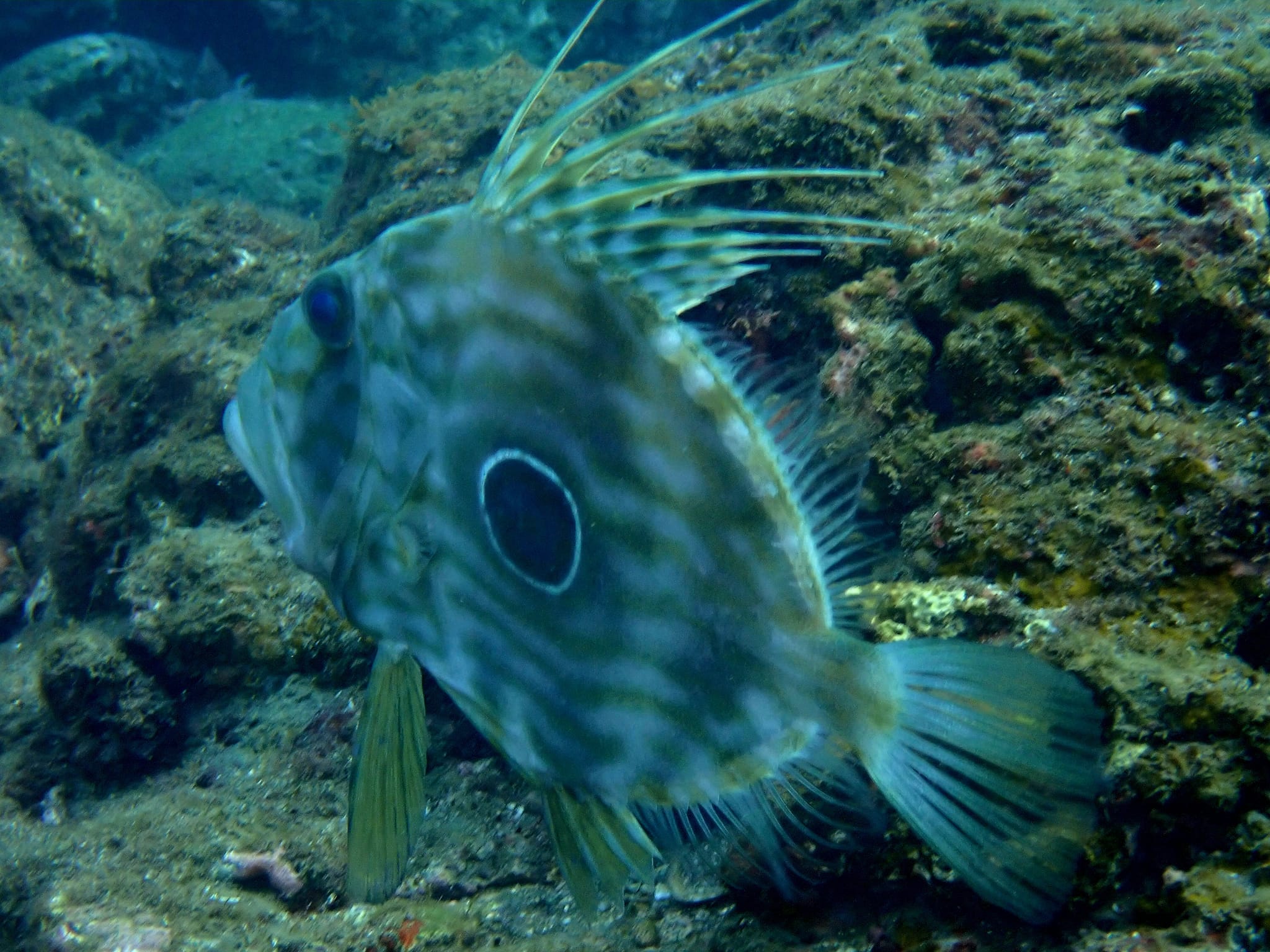 318216654_2749577945173709_1601618410437090907_n