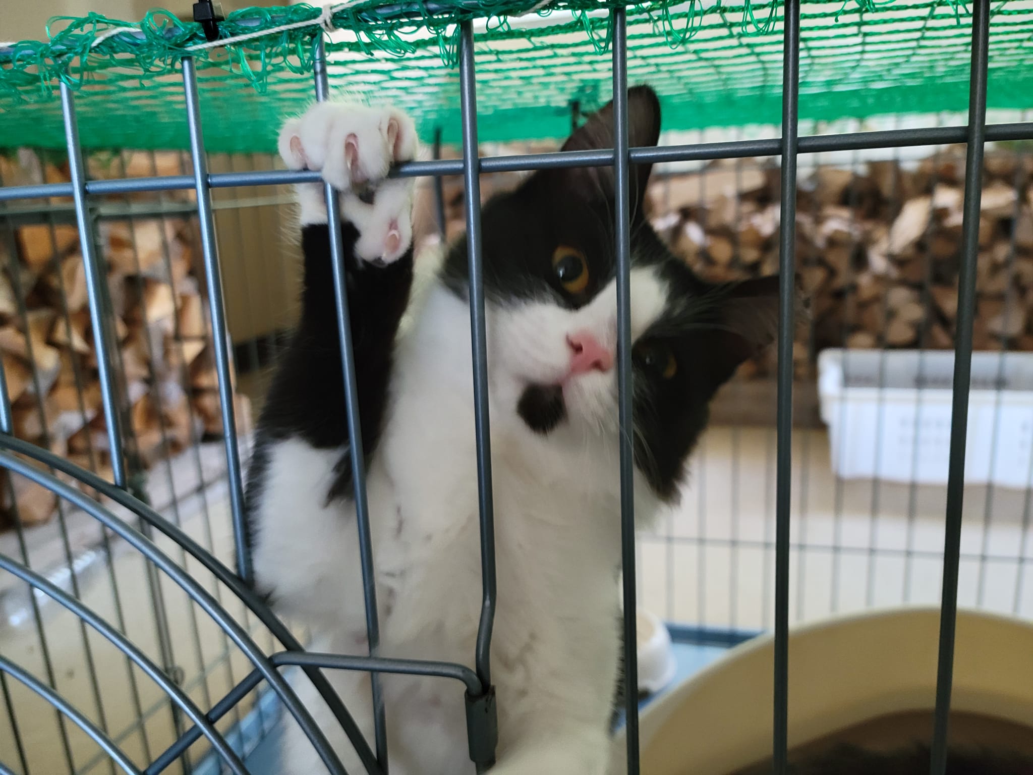 318293185_2749578275173676_4984369239009758421_n