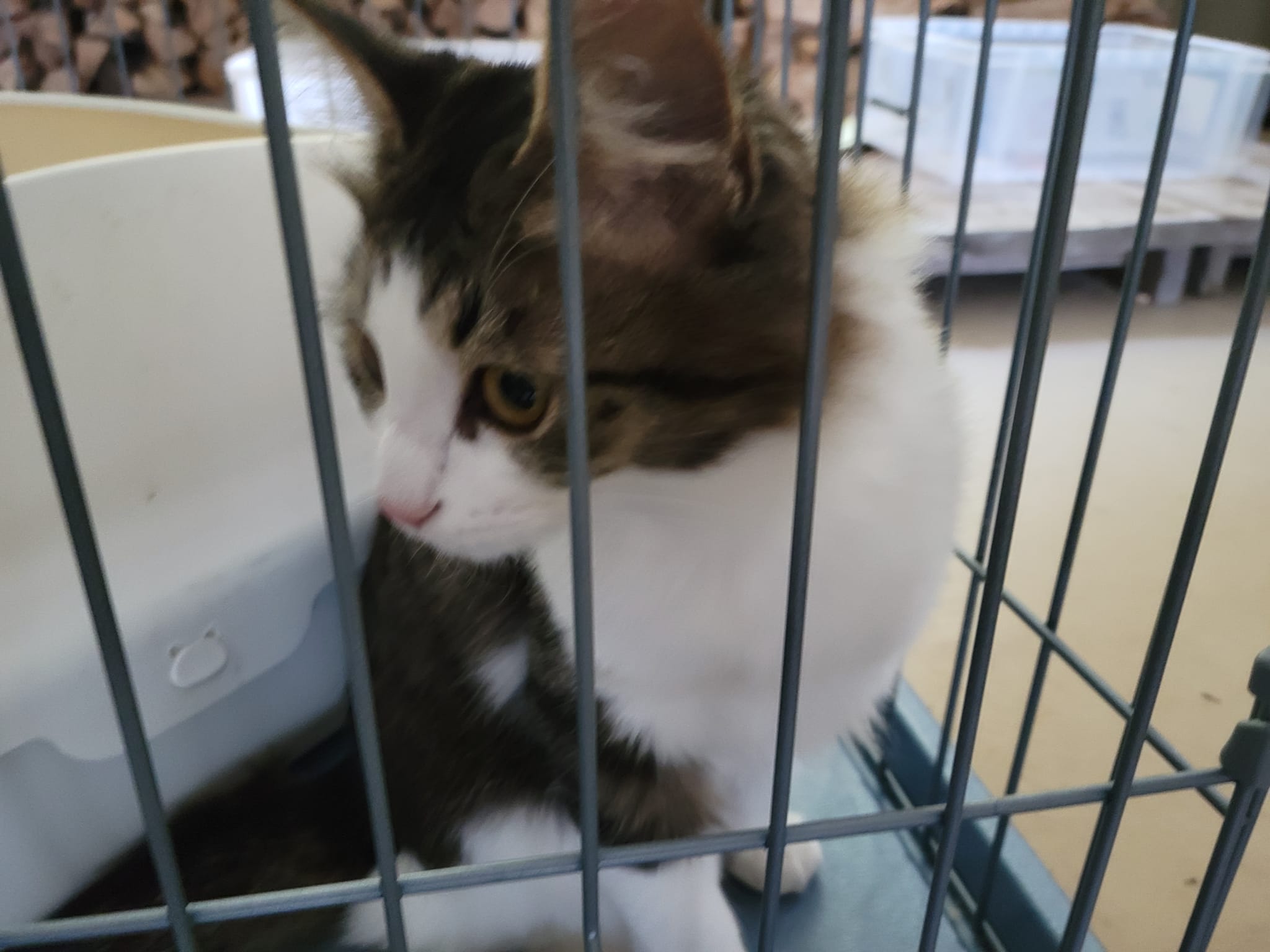 318299673_2749578111840359_8980104448944654002_n