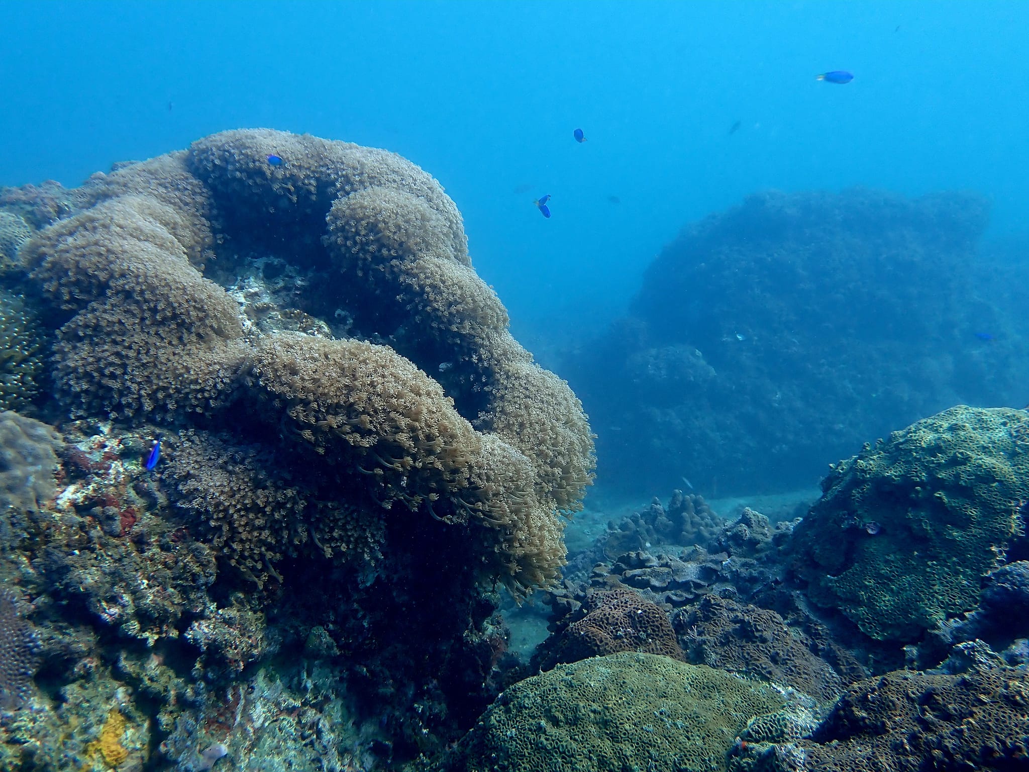 318319512_2749578465173657_78499057811575123_n