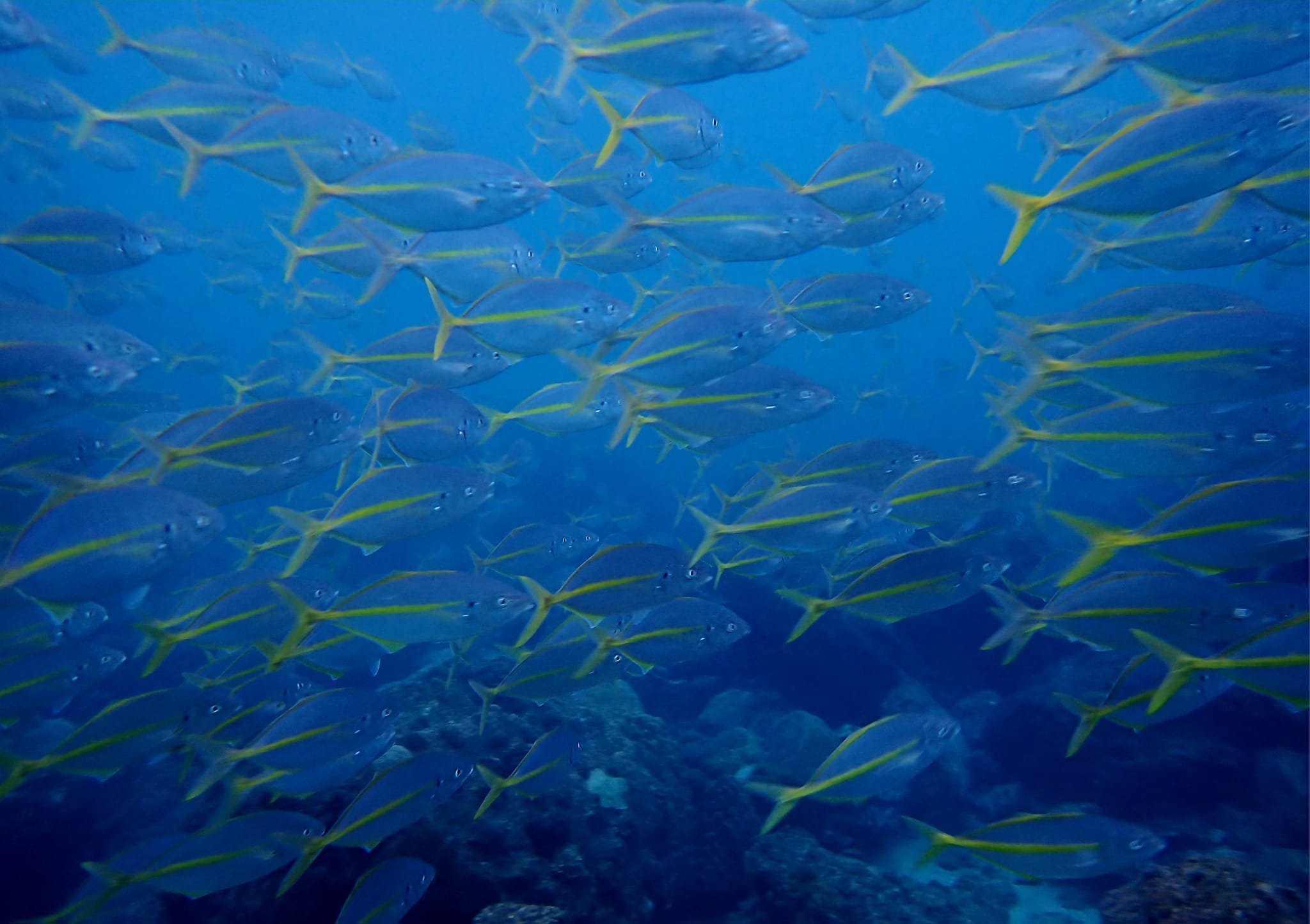 326338839_2005927876405632_2453227587002995715_n