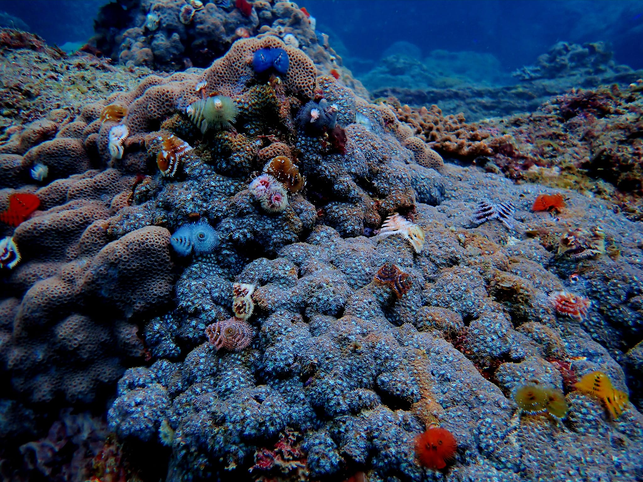 326492435_502037032014591_1676158854952237850_n