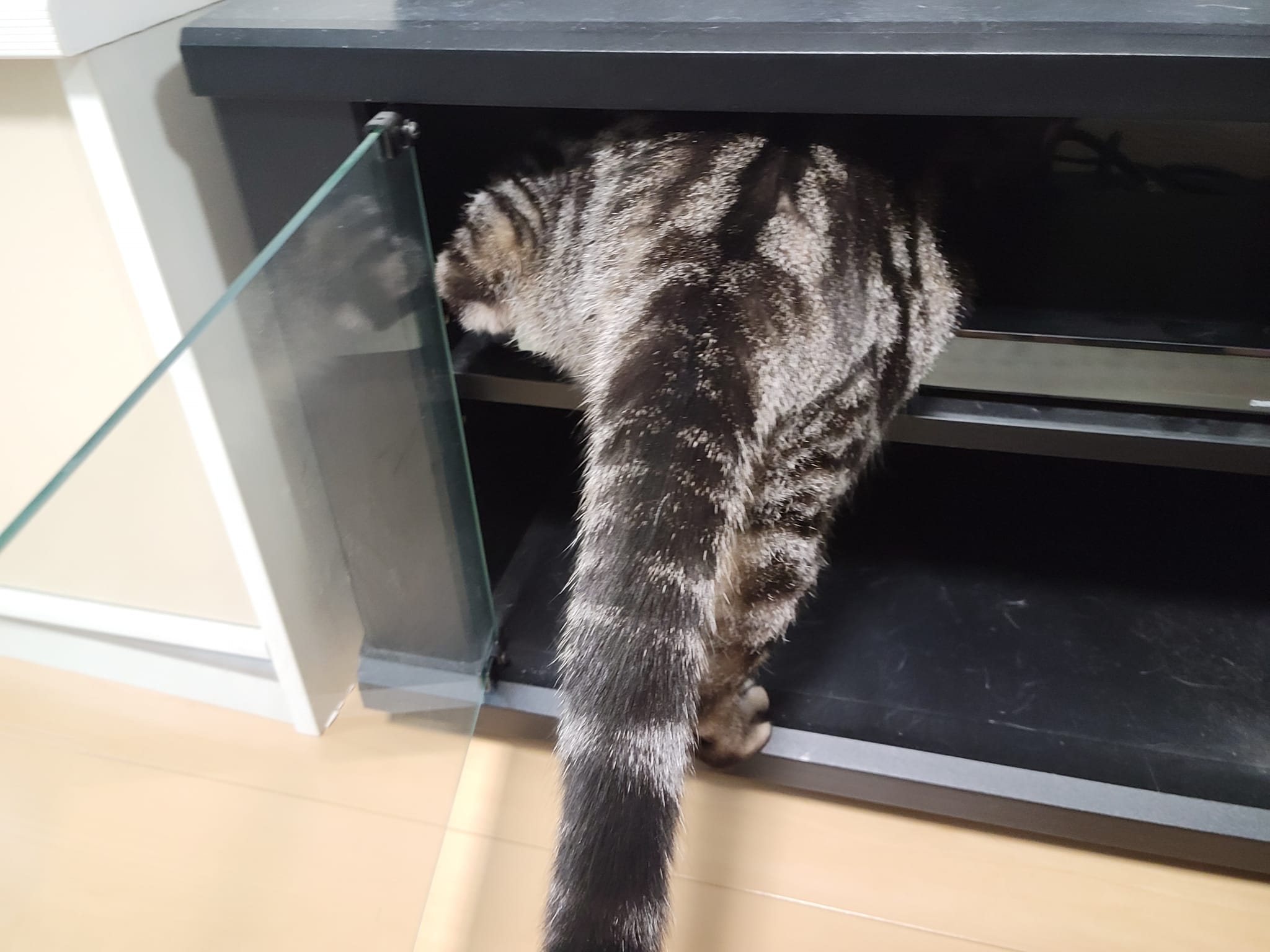 332140494_921139195726266_6423070159063029484_n