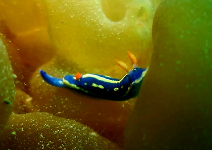 FB_IMG_1680408330302