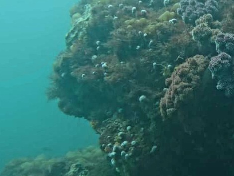 FB_IMG_1680408340612