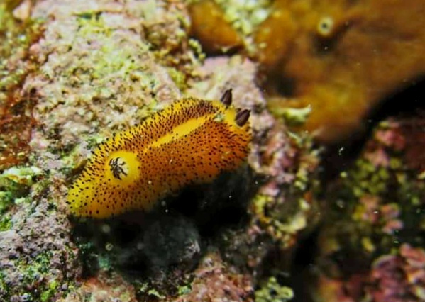 FB_IMG_1680408357560