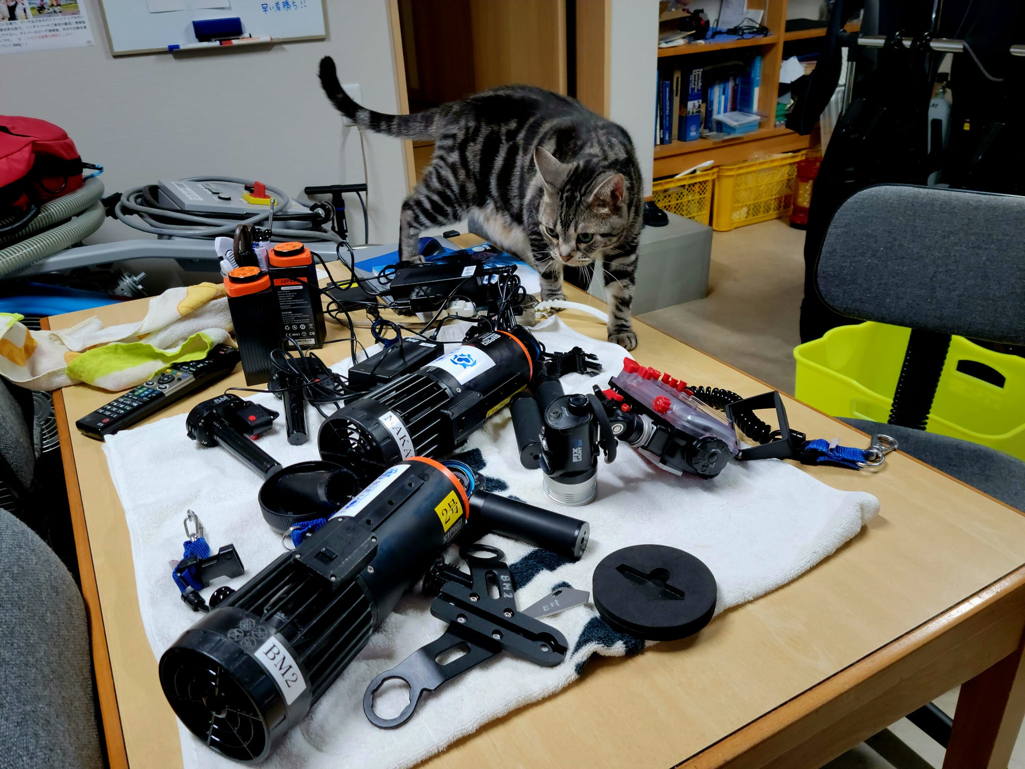 357785381_2946169695514532_1205966679824138407_n