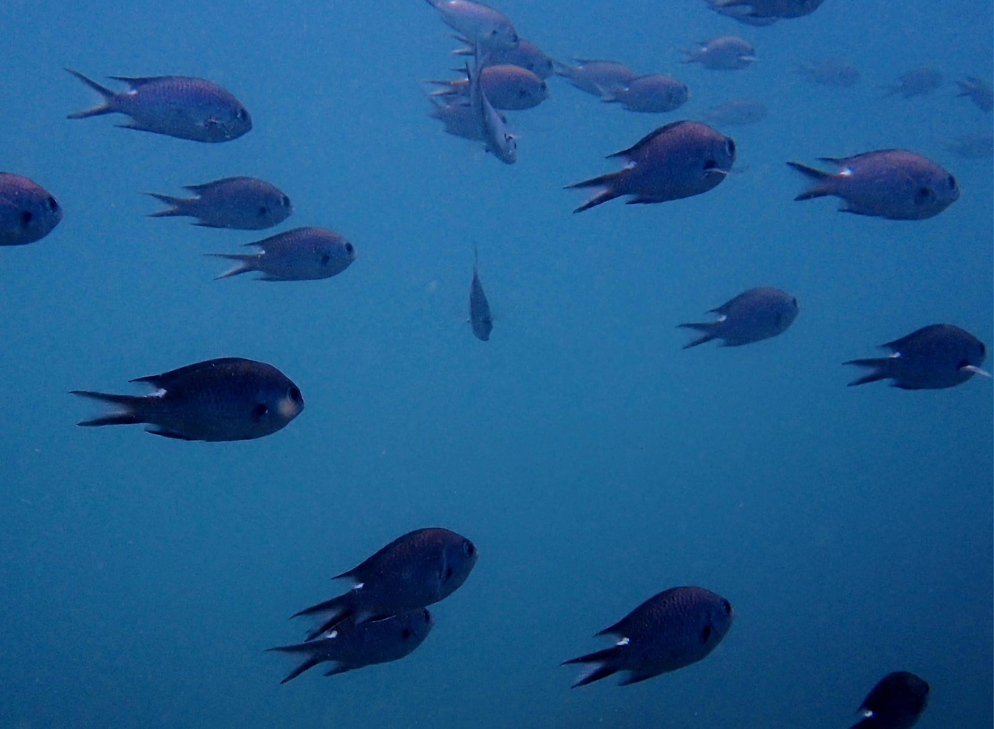 358105325_2946169608847874_3135422274386780707_n