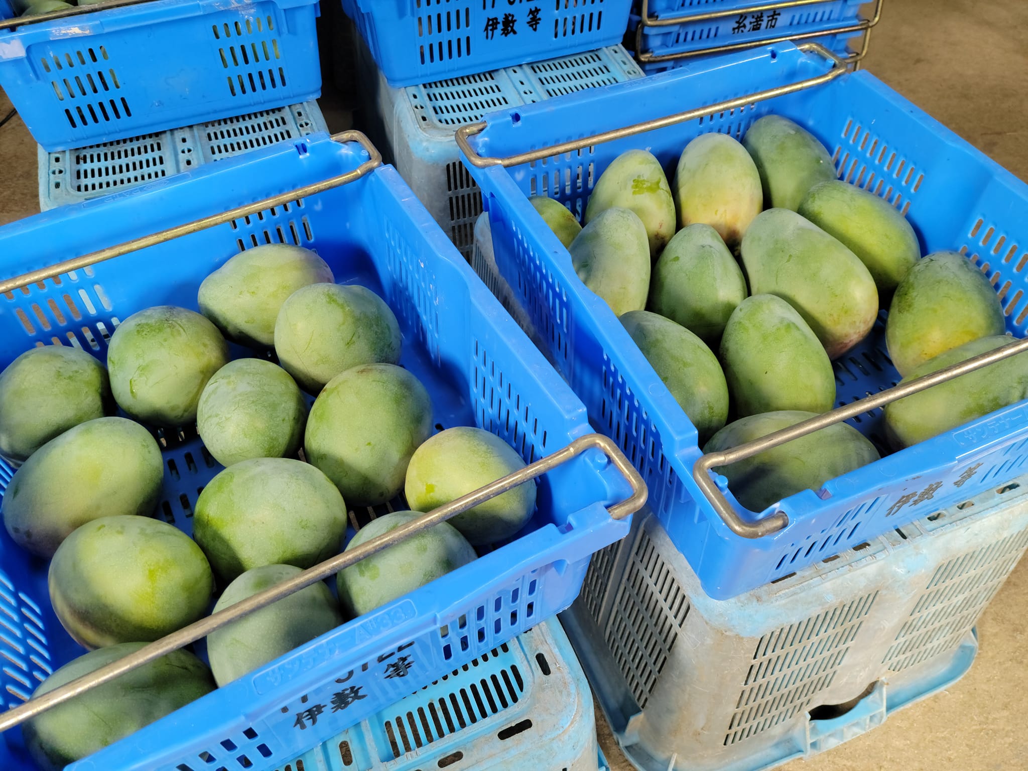 366370499_2953982221399946_7333830708017068863_n