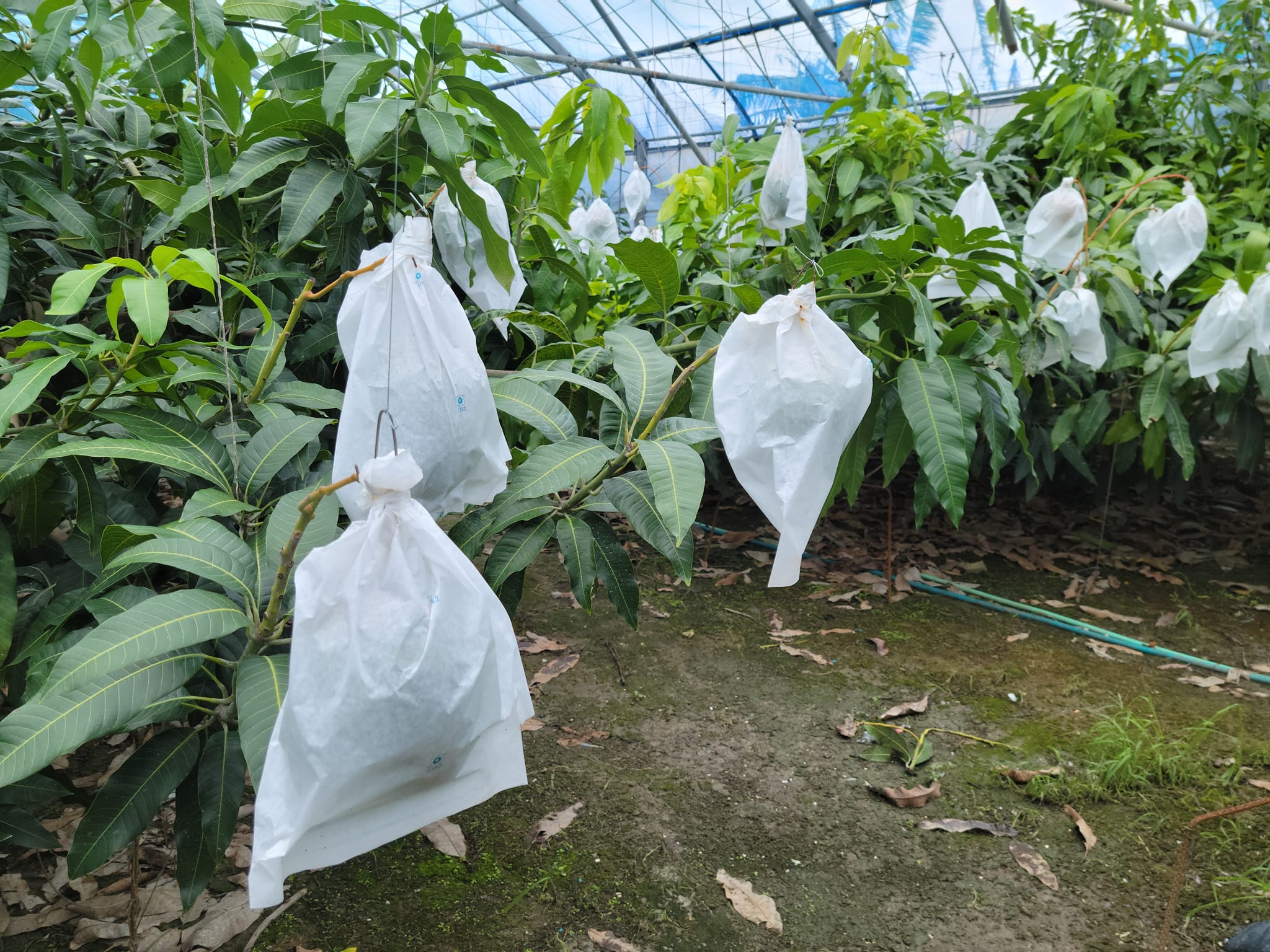 366527849_2953982184733283_7898910194048630227_n