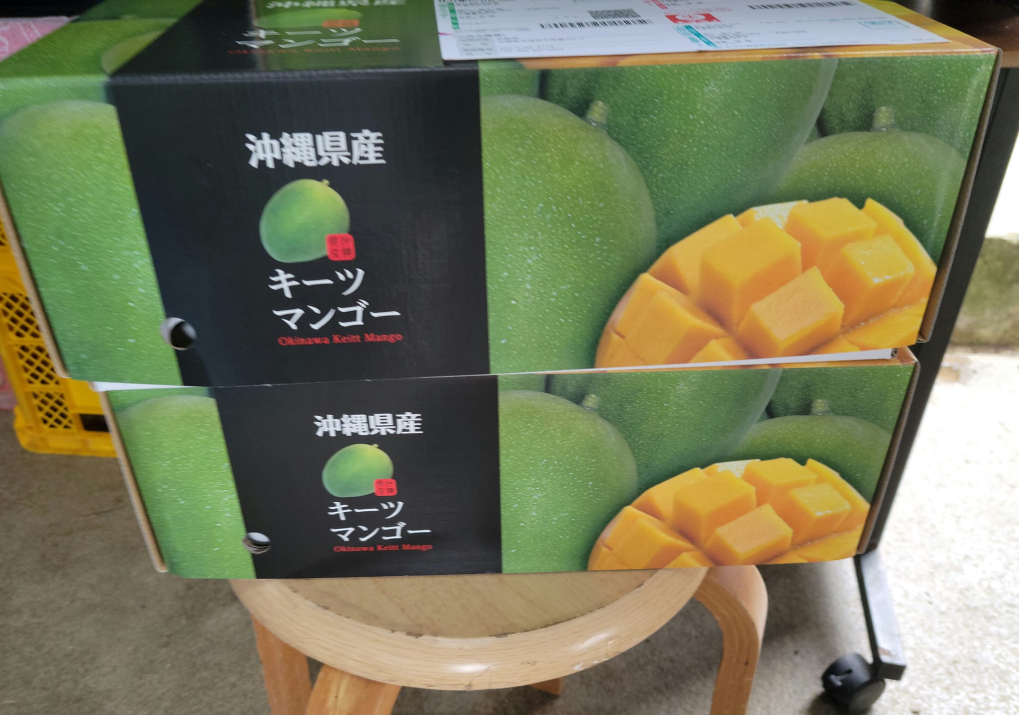 366745771_2953982254733276_8836848357896435238_n