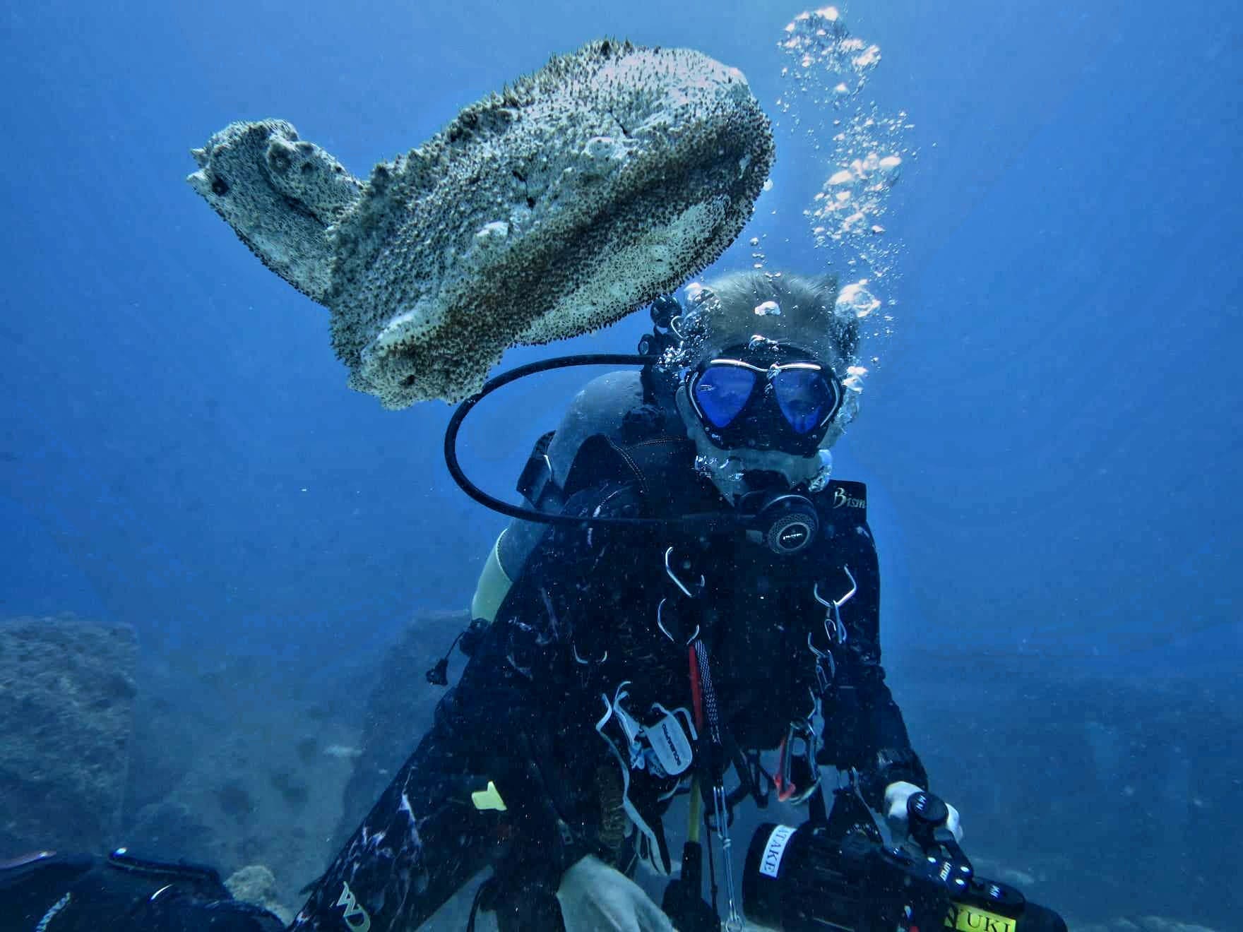 364132995_2958831524248349_7927571725437827161_n