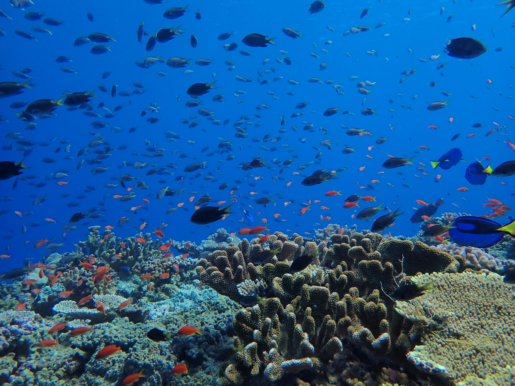 365579136_2960450487419786_704692021945552476_n