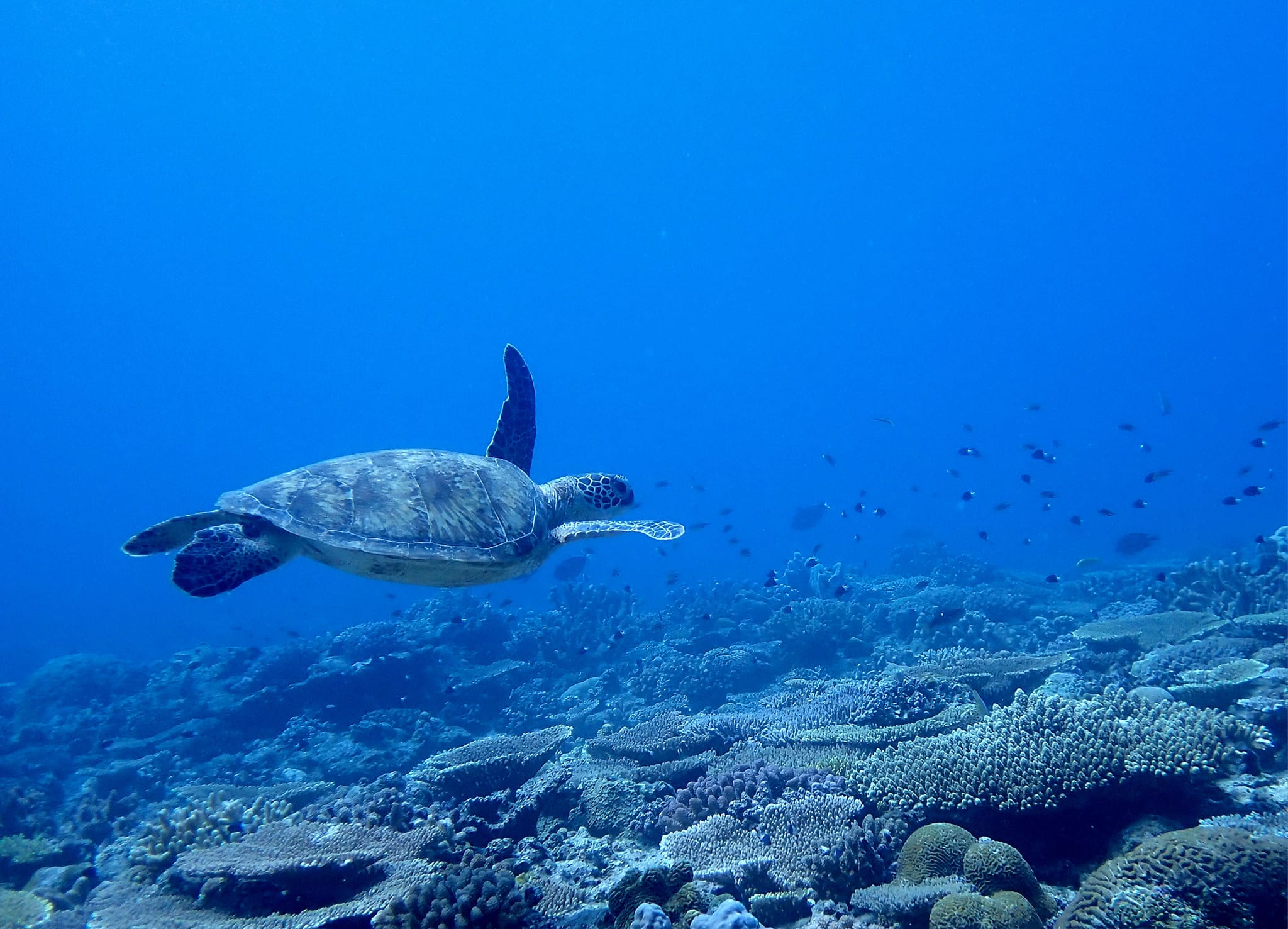 366019381_2961269547337880_3186084863658859504_n