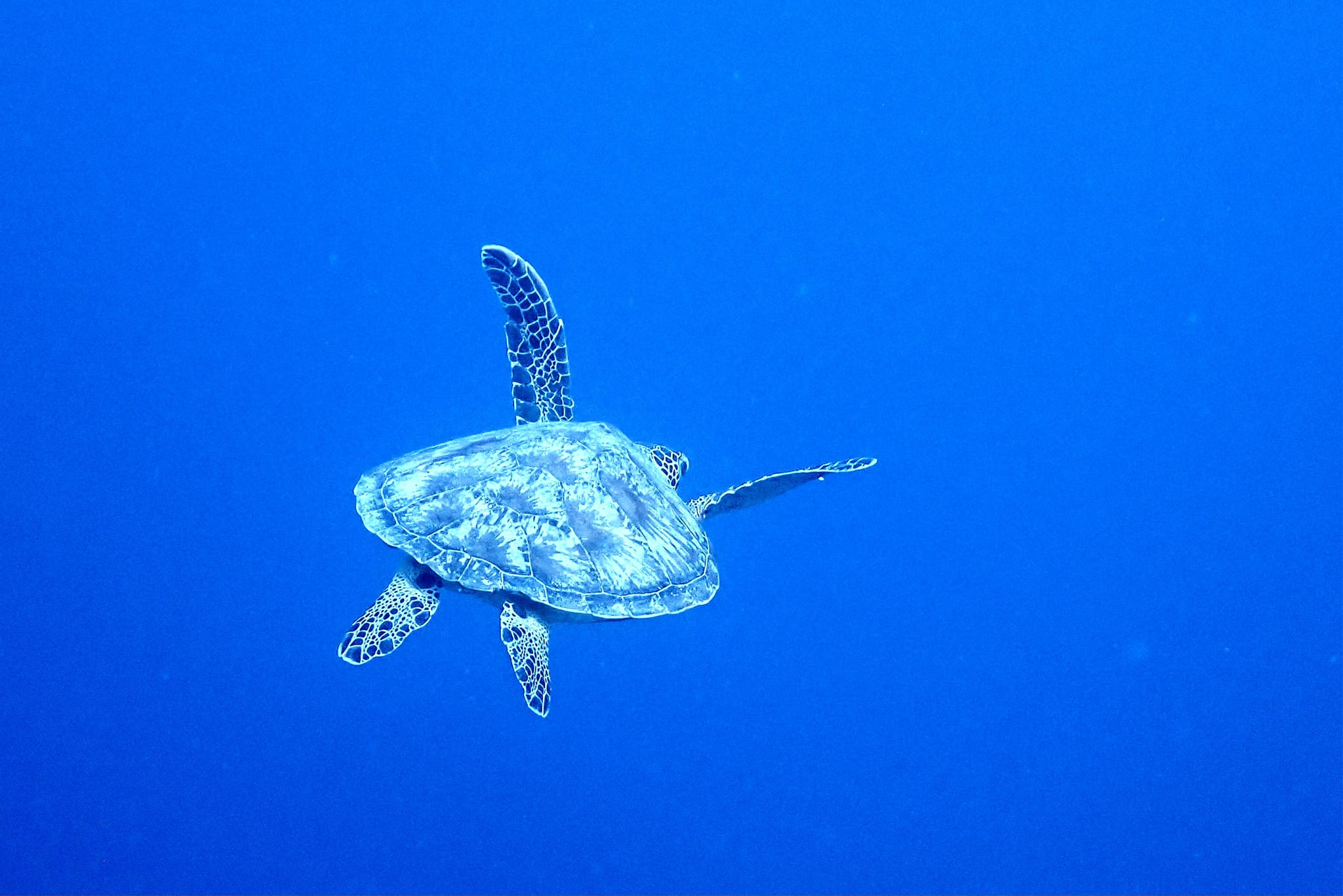 366075779_2961269597337875_7810294107207745173_n