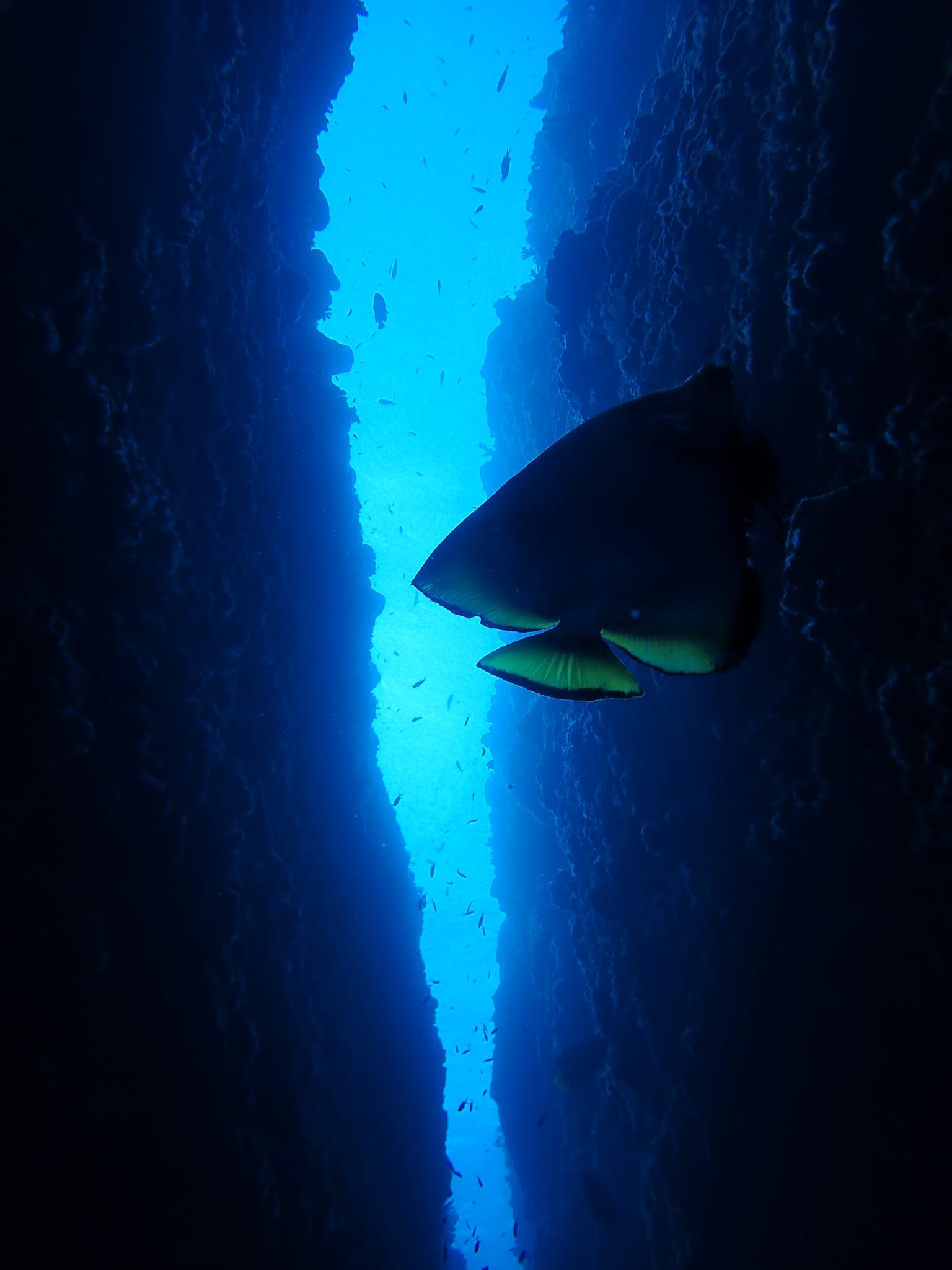 366327948_2962039177260917_1163976808653173520_n