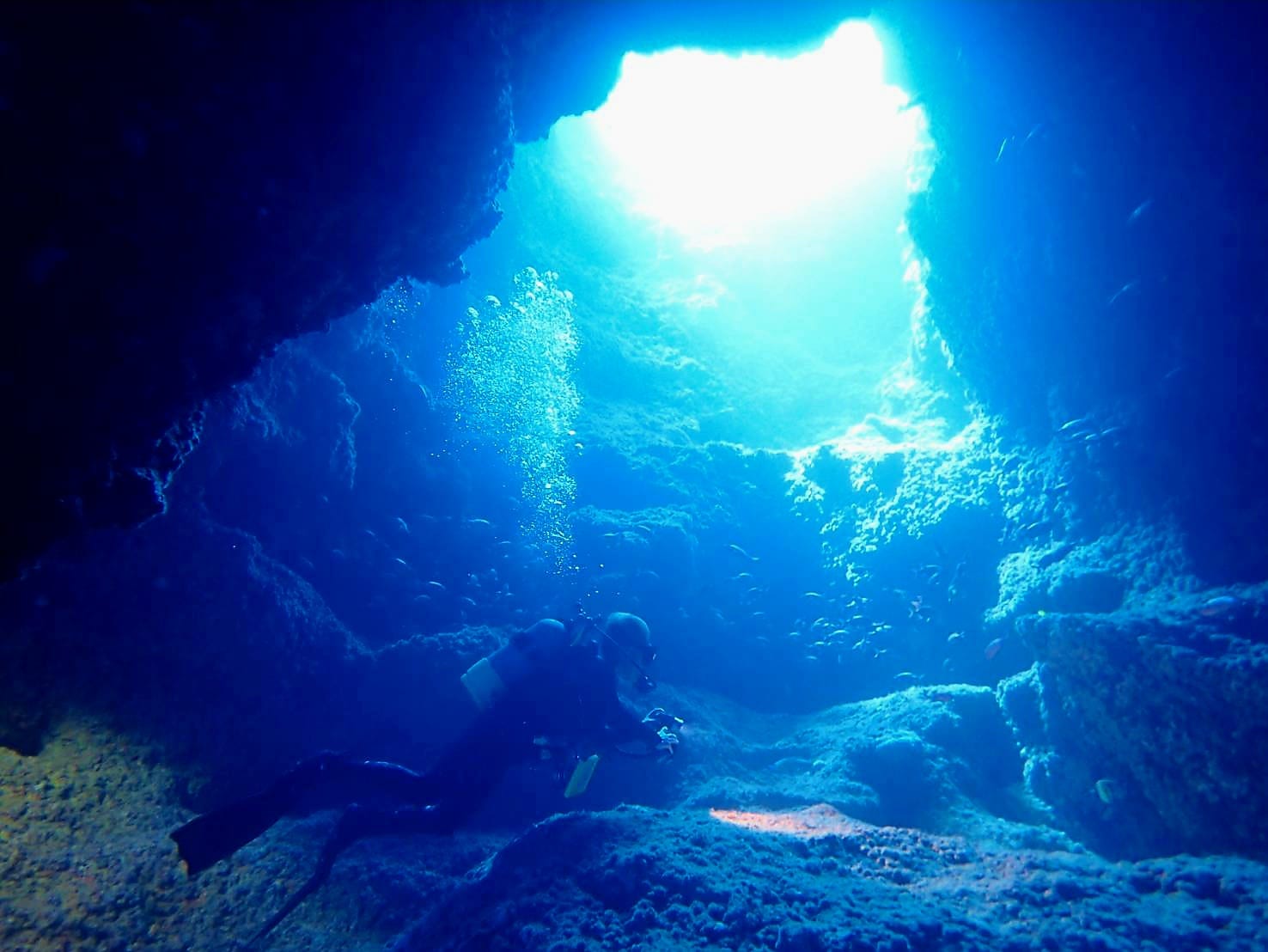 366334245_2962050110593157_2748616220807551085_n