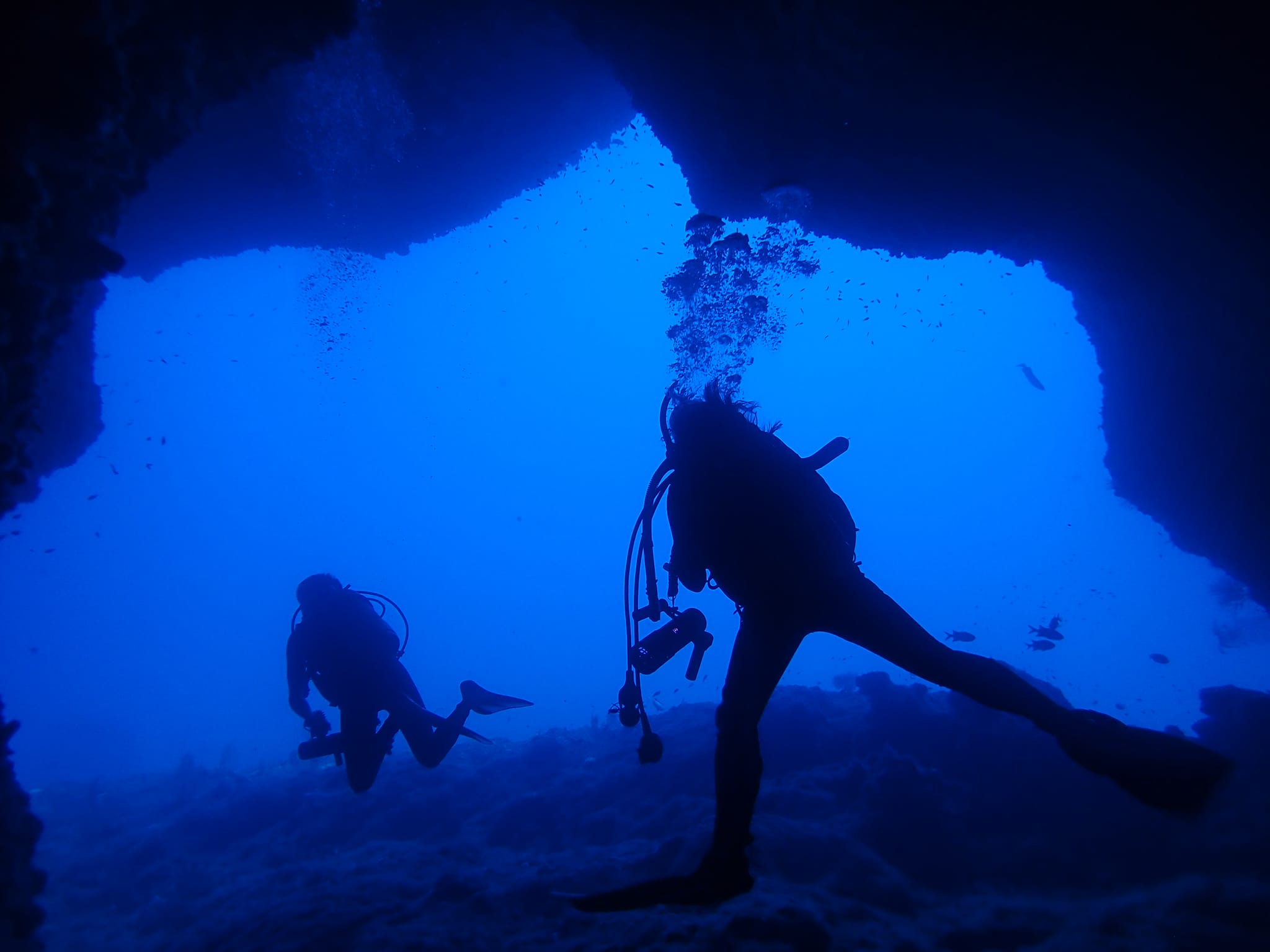 366370262_2962039317260903_4273131199354493889_n