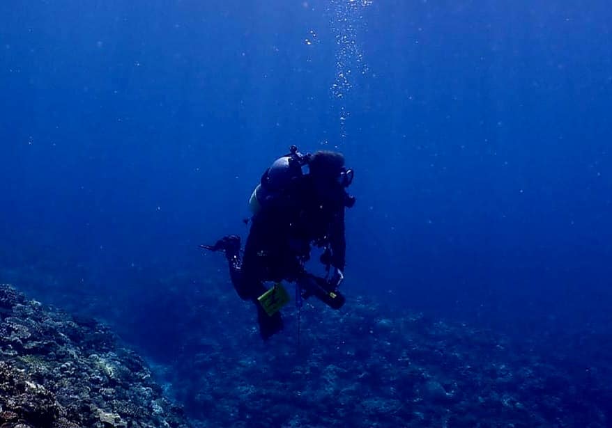 366940823_2957924417672393_4085323395382770681_n