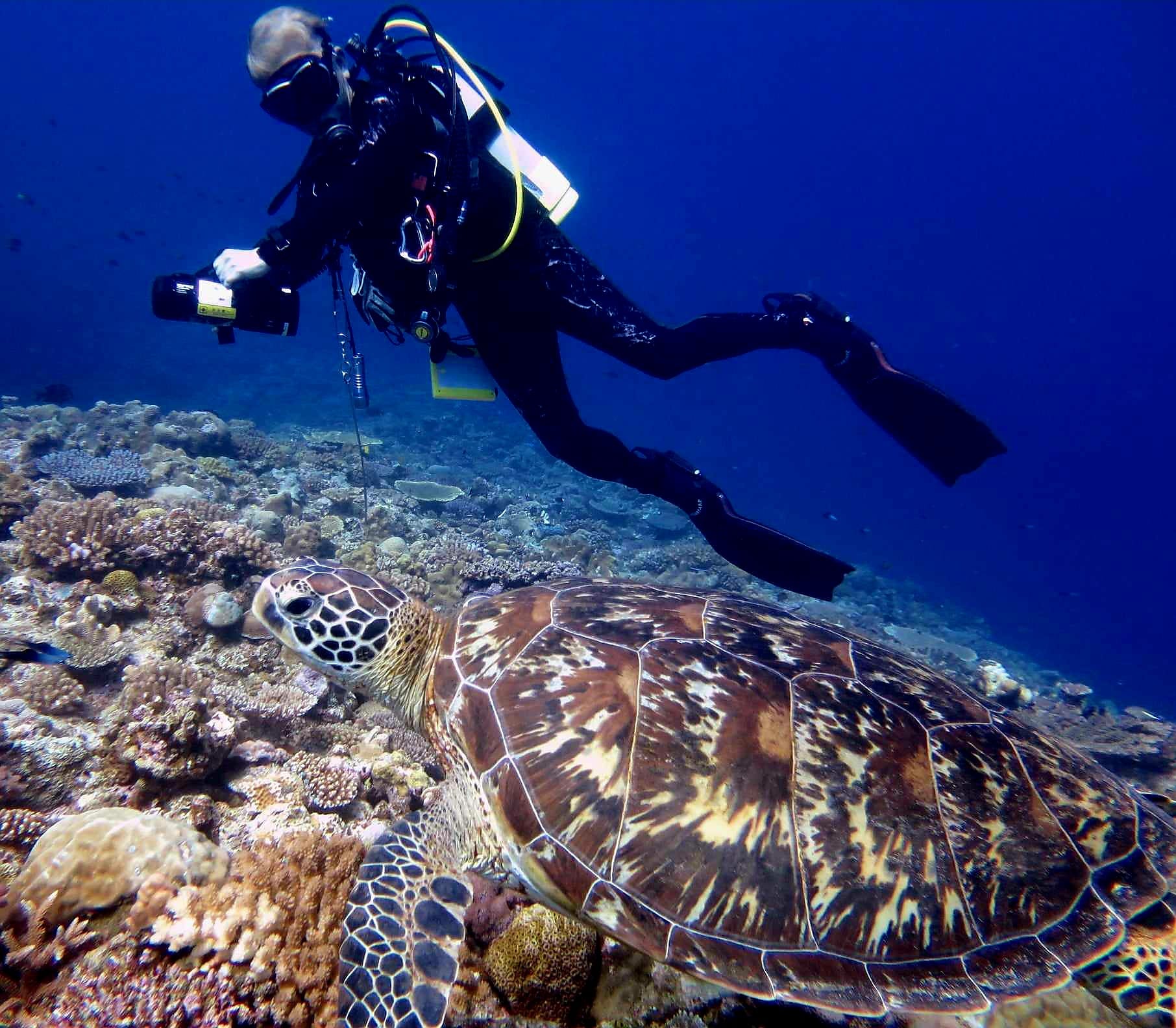 366953632_2958831494248352_6554499069211991017_n