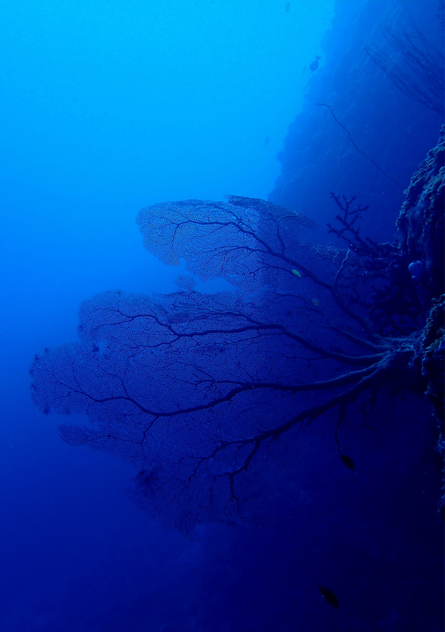 367391921_2959603404171161_5966164780207565460_n (1)