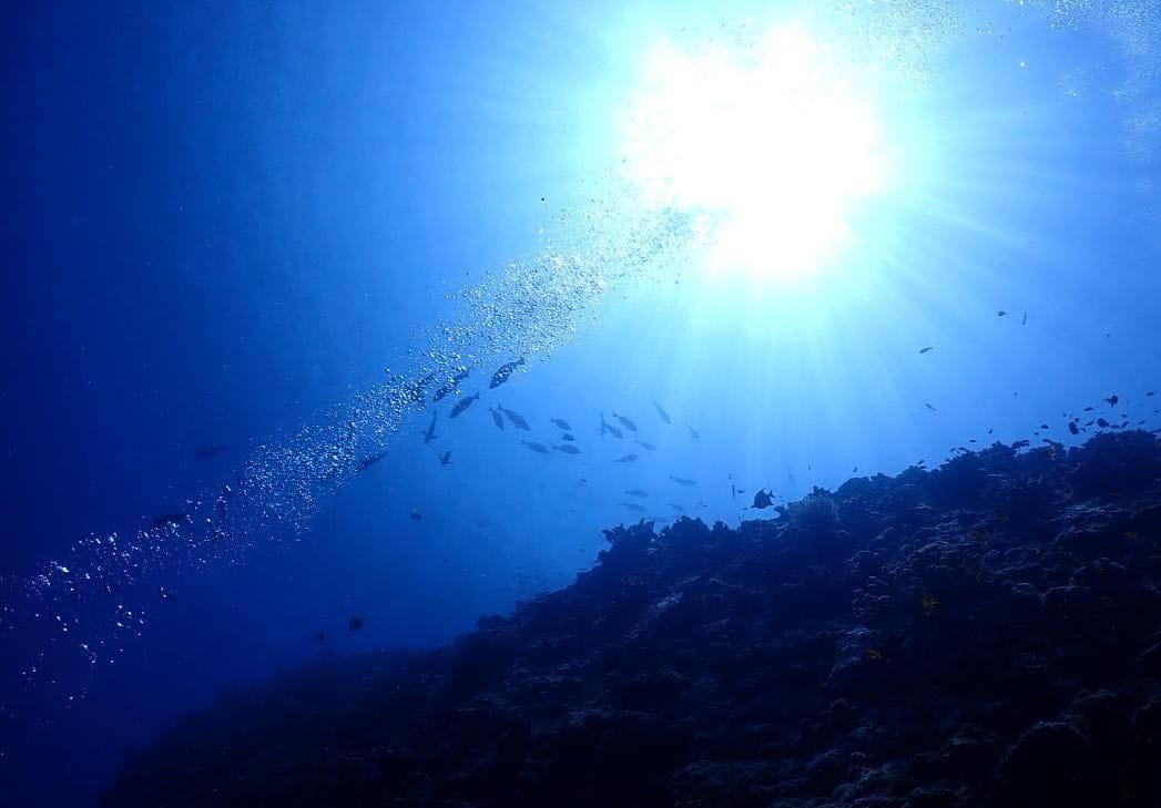 367400267_2957924671005701_6941486089755432499_n