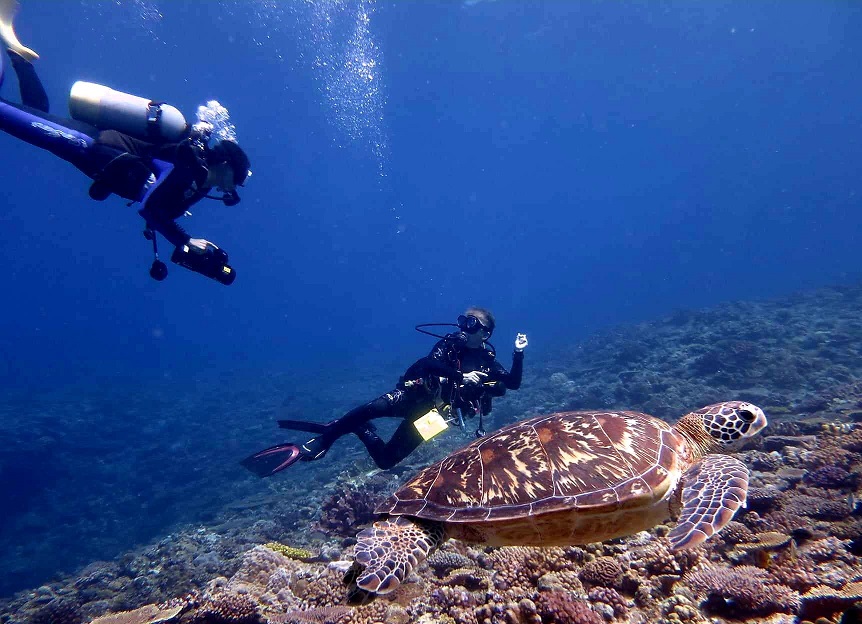 367404785_2957924624339039_2349458759514760264_n