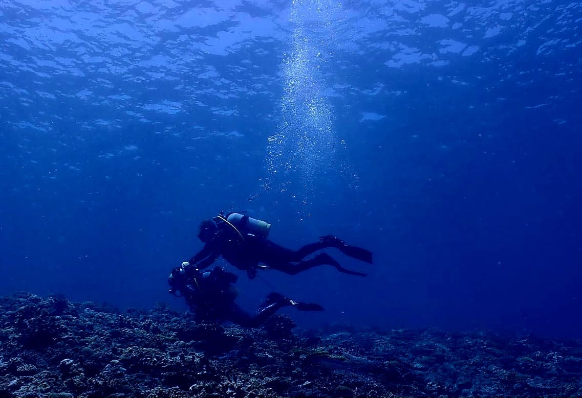 367432094_2957924741005694_7172423061612074639_n