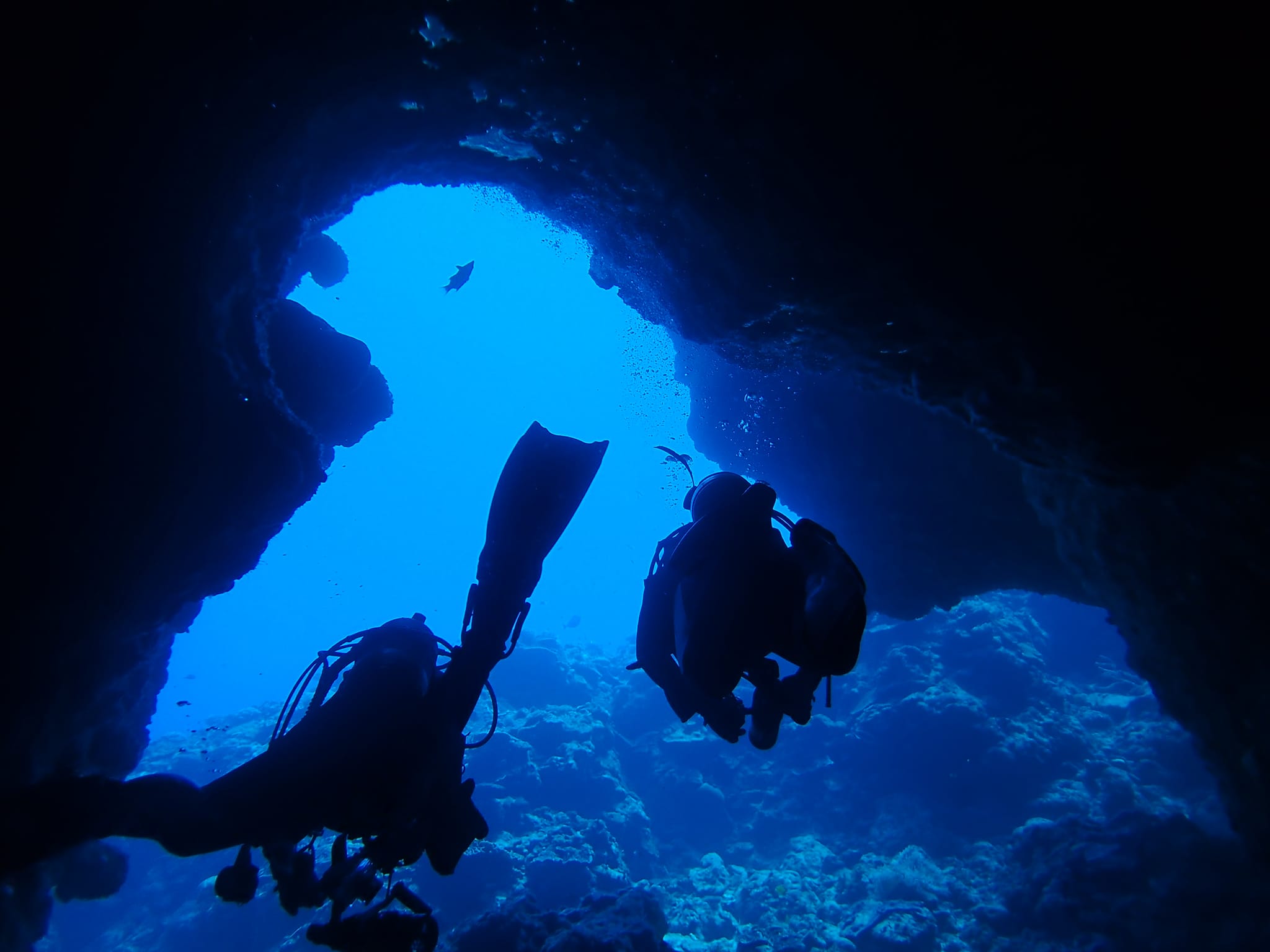 367735338_2959603154171186_2318161601215461589_n