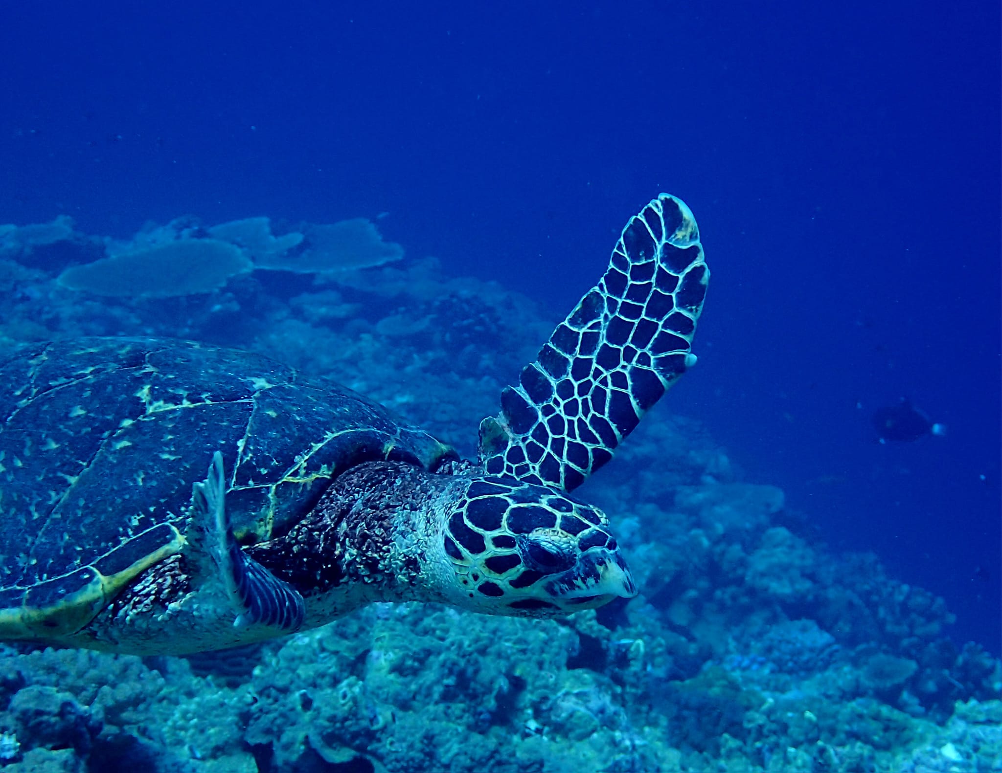 367740993_2959603090837859_5004949653812095458_n