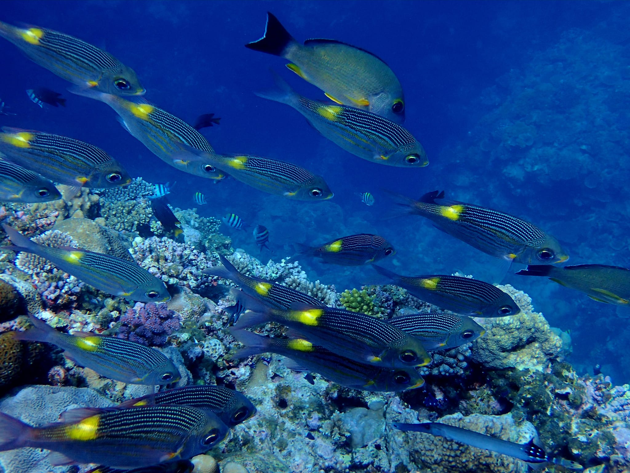 368005812_2961269484004553_151007537007134227_n