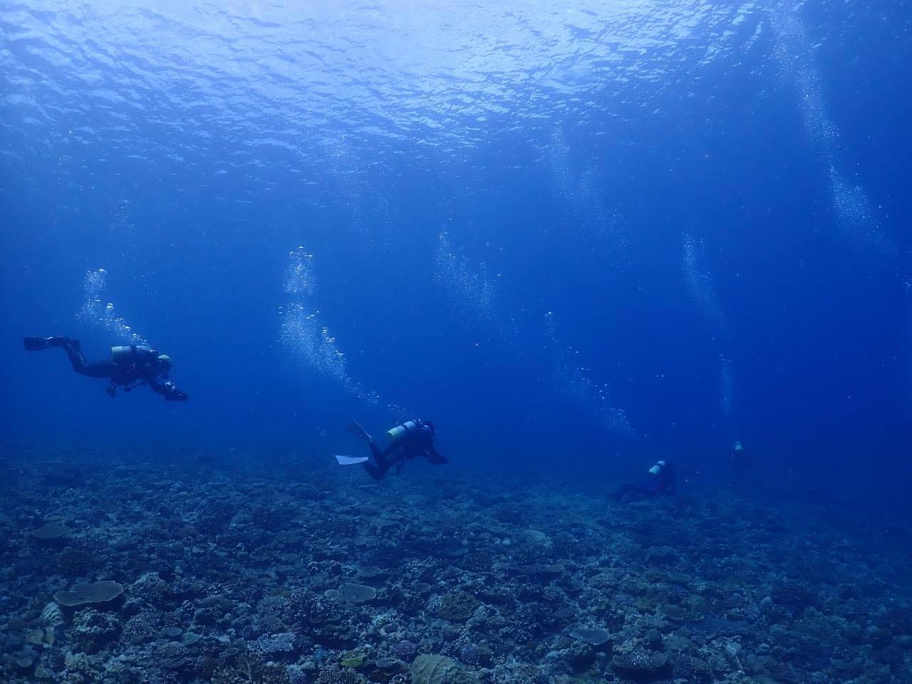 368011723_2959602984171203_7883511301189604719_n