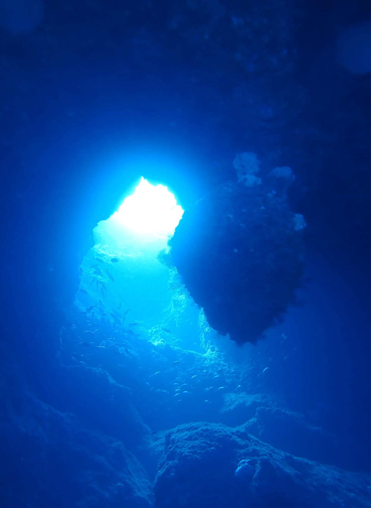 368736604_2962039293927572_1951054581255211182_n