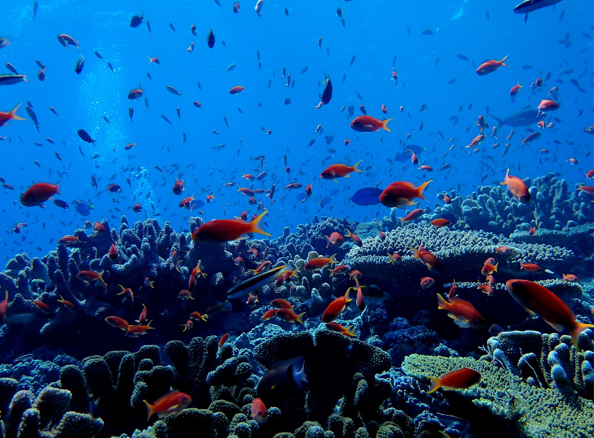 369467890_2962893960508772_2877435282859666847_n