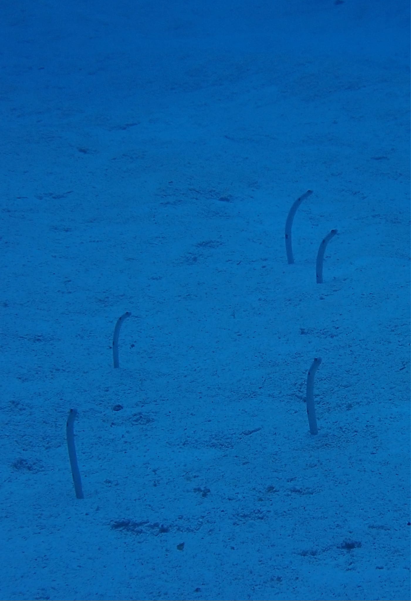 369471127_2964503580347810_1488470883883030215_n