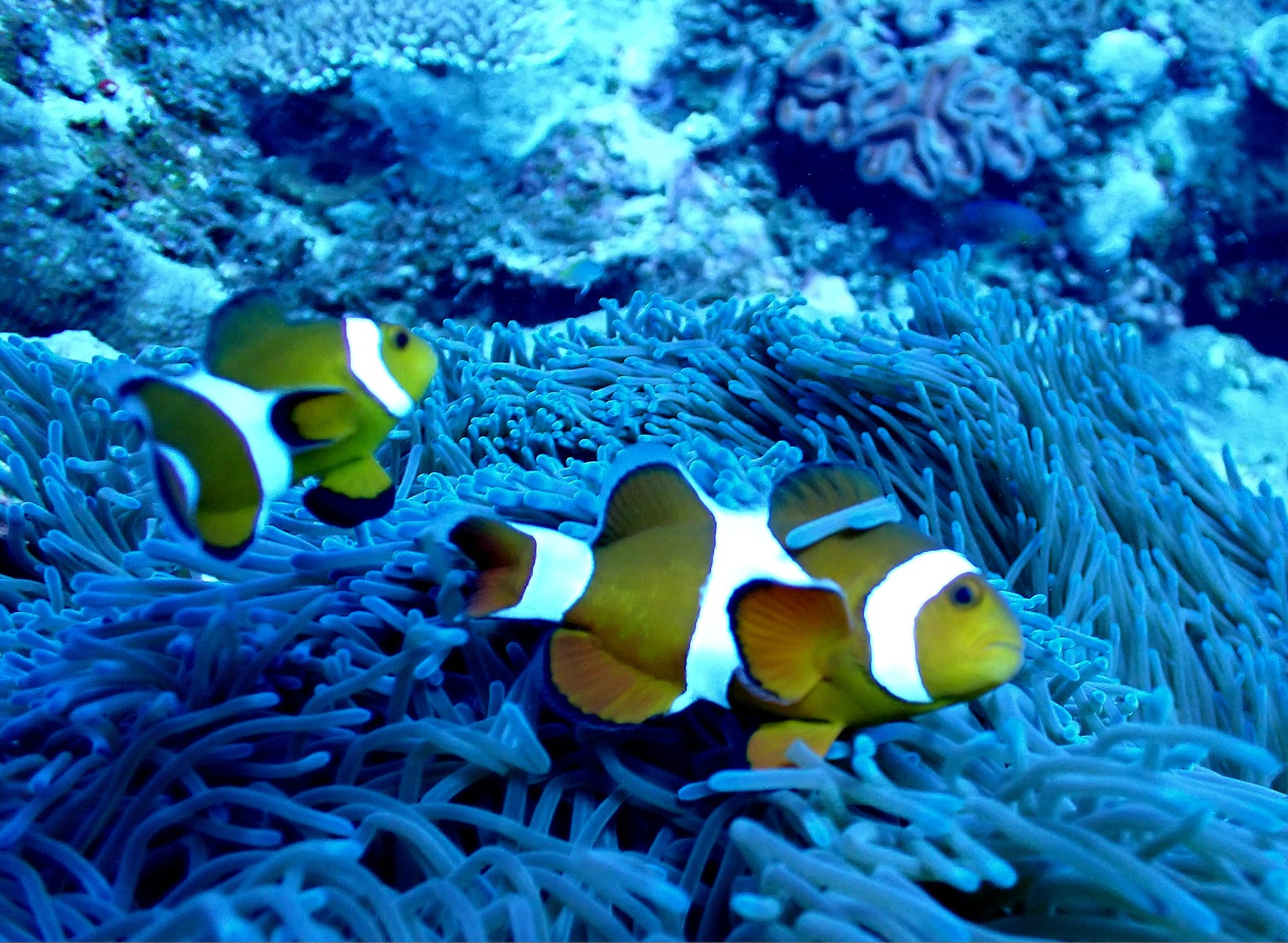 369471522_2962893893842112_4462142589510447445_n