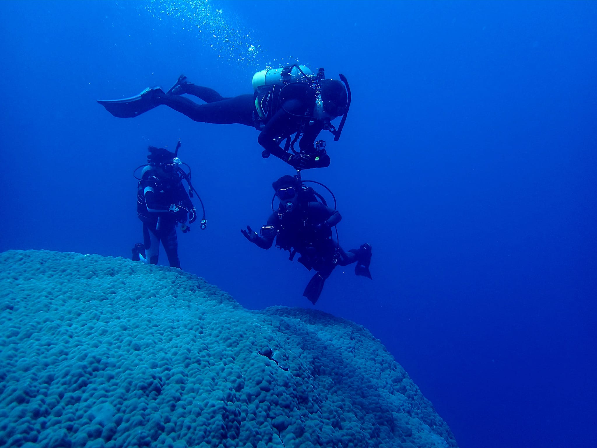 369472182_2963795157085319_2844740773735166346_n