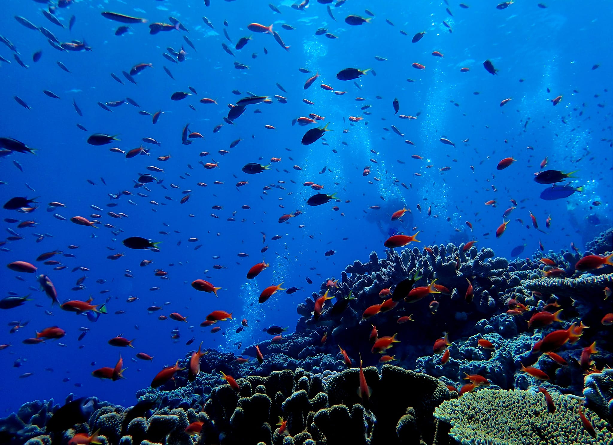 369474799_2962893840508784_9073655492654278853_n