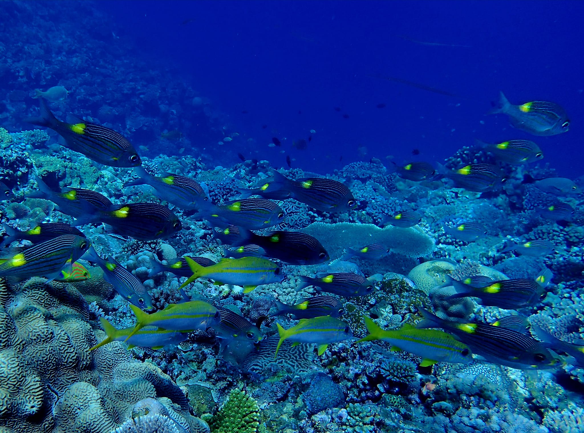 369479856_2963795033751998_3542078094216301755_n