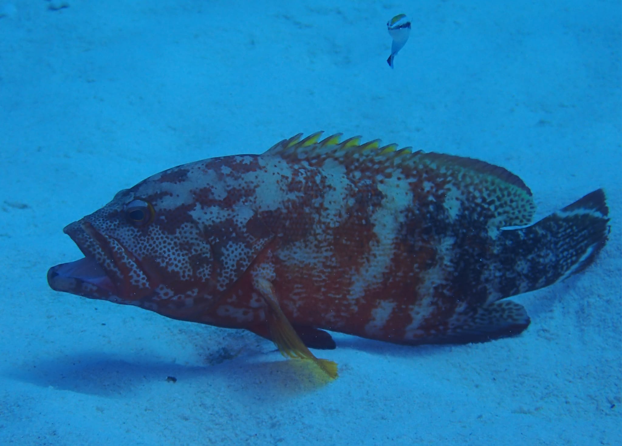 369520576_2963795220418646_7440563003773020281_n