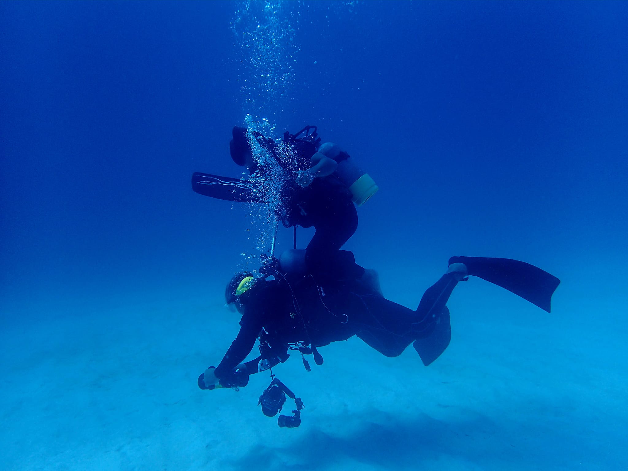 369533692_2964503383681163_1793087935977604331_n