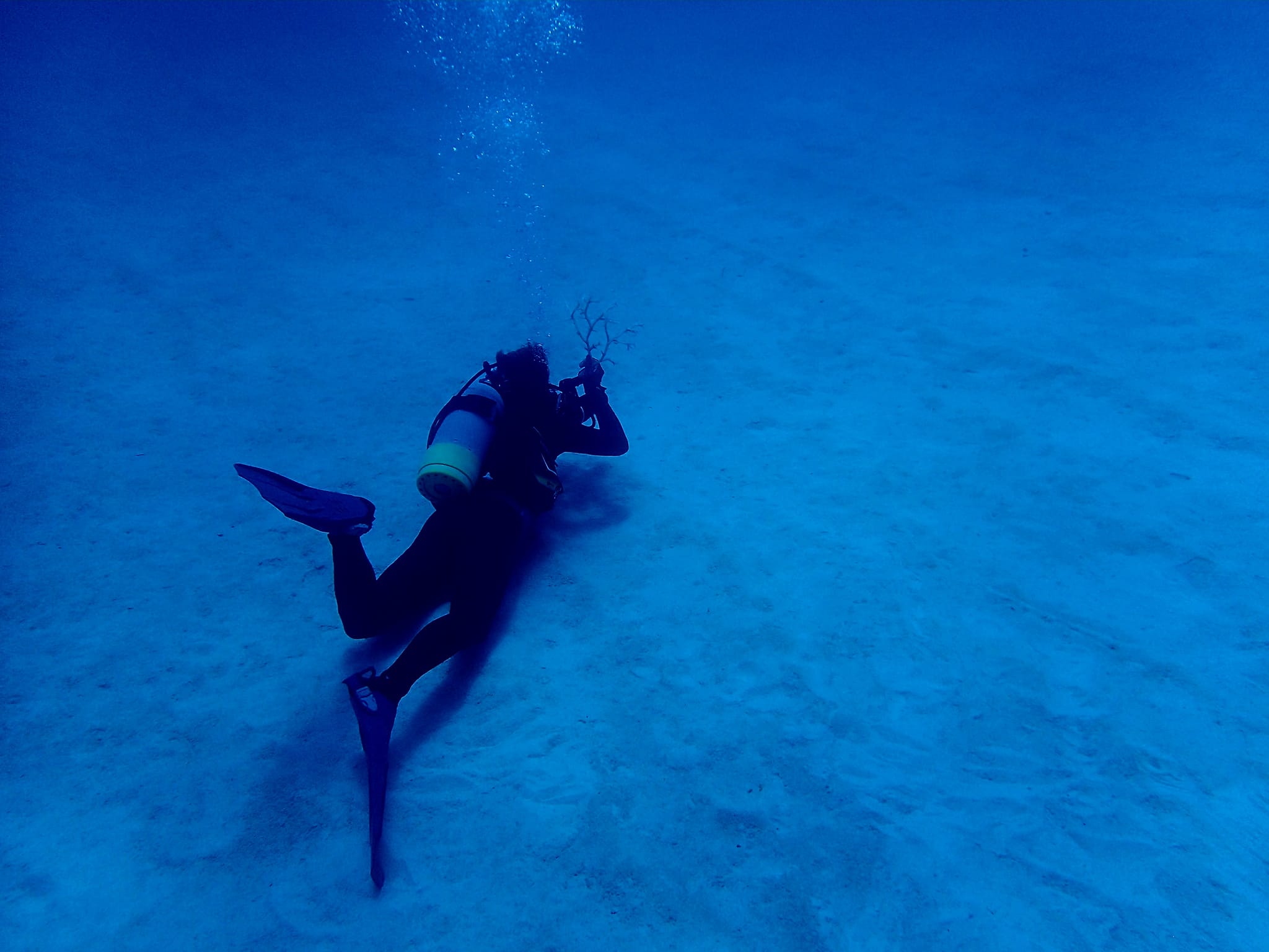 369537004_2964503540347814_3813384097664689445_n