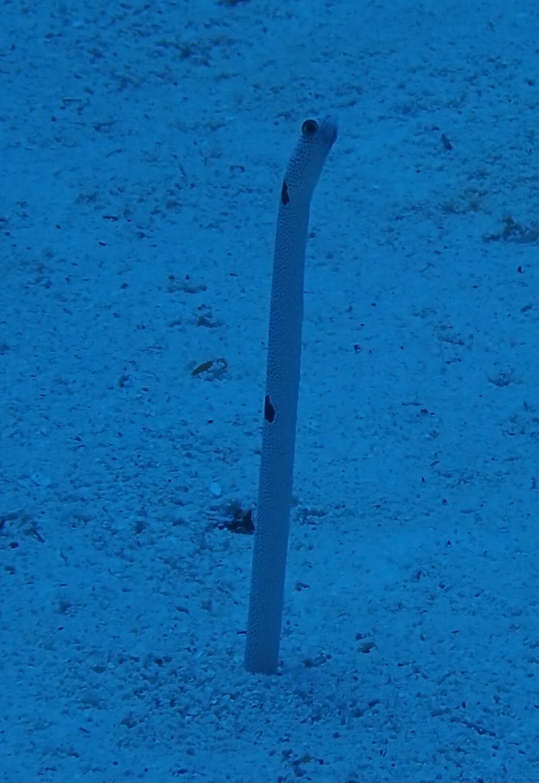 369688614_2965215593609942_3149503525430428963_n