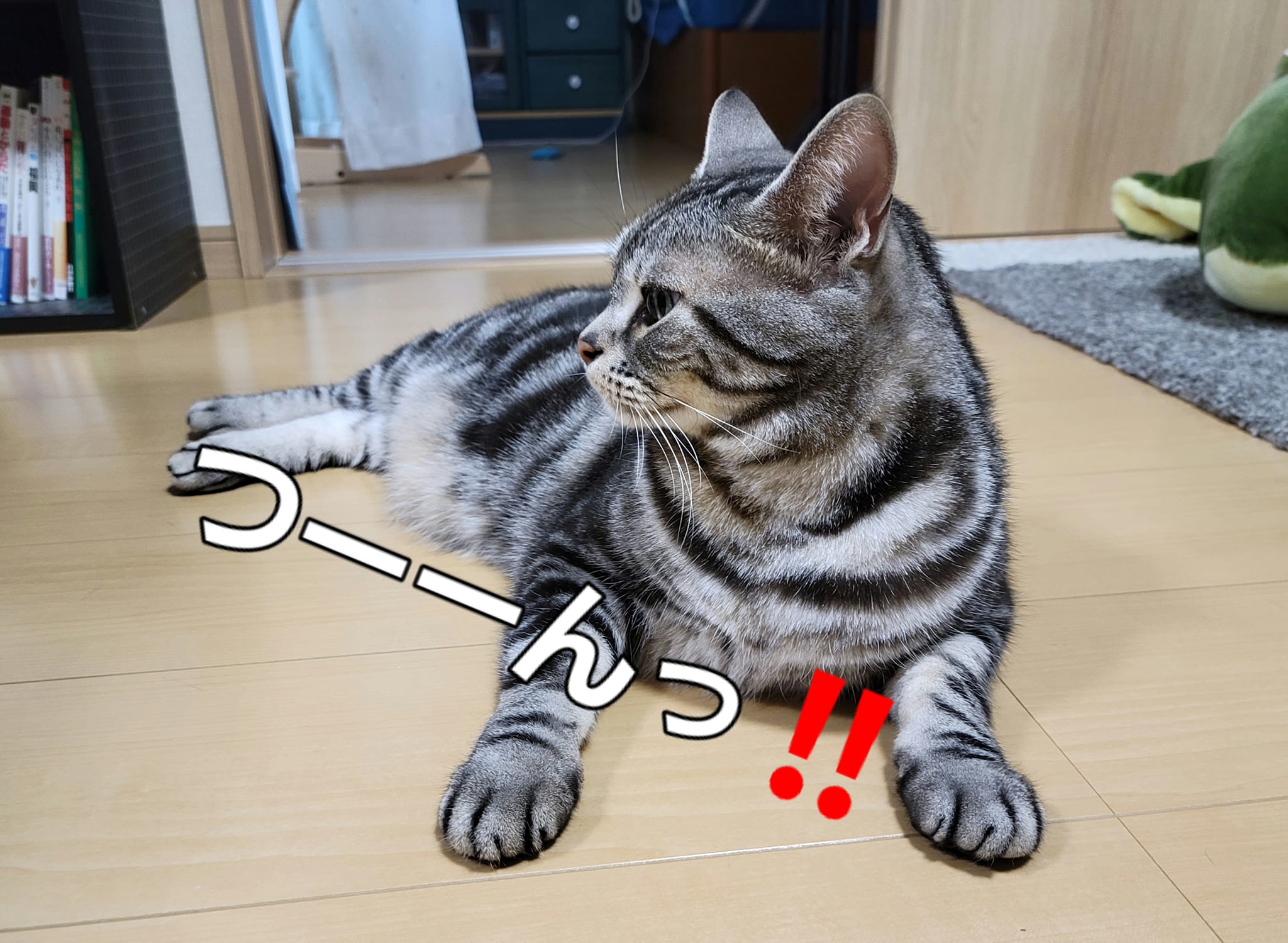 369849363_2966823600115808_2586791556666983172_n