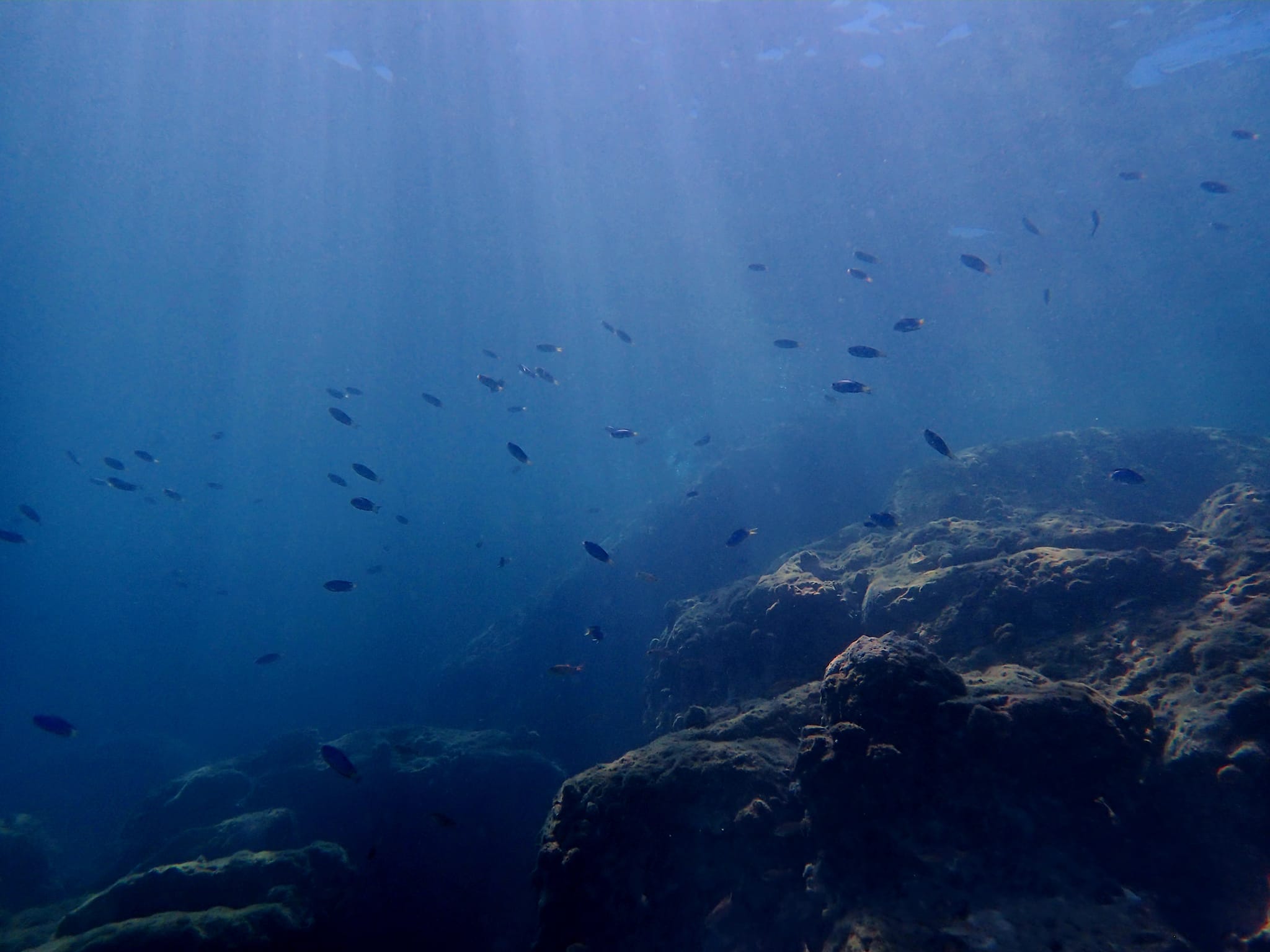 371811709_2971415799656588_1083293856959050315_n