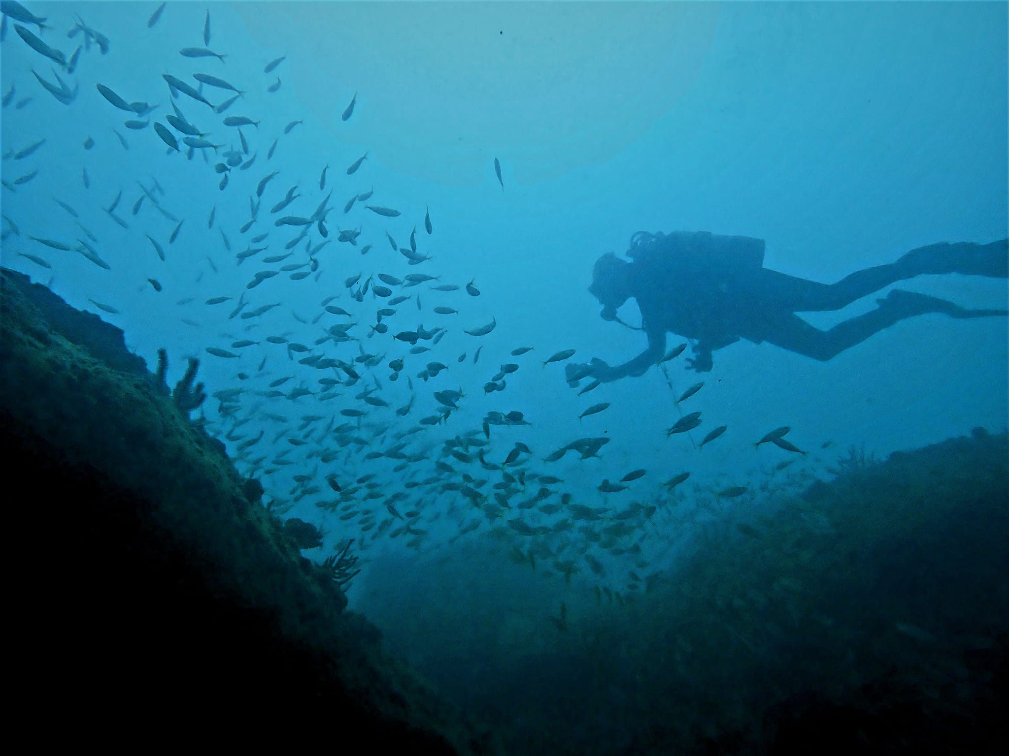 374646202_2973841186080716_7405637070428779373_n