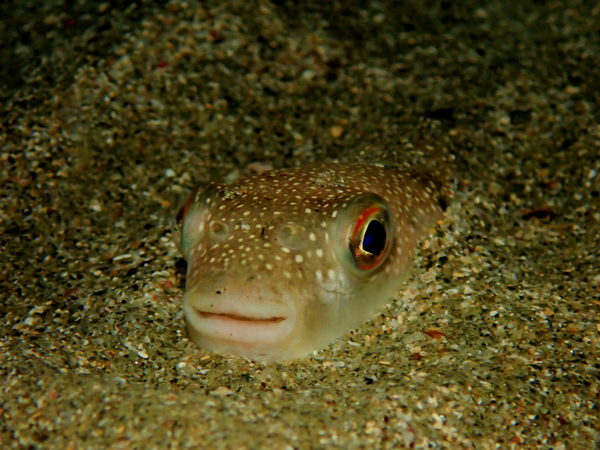 379527814_2985888581542643_3600704022824872394_n