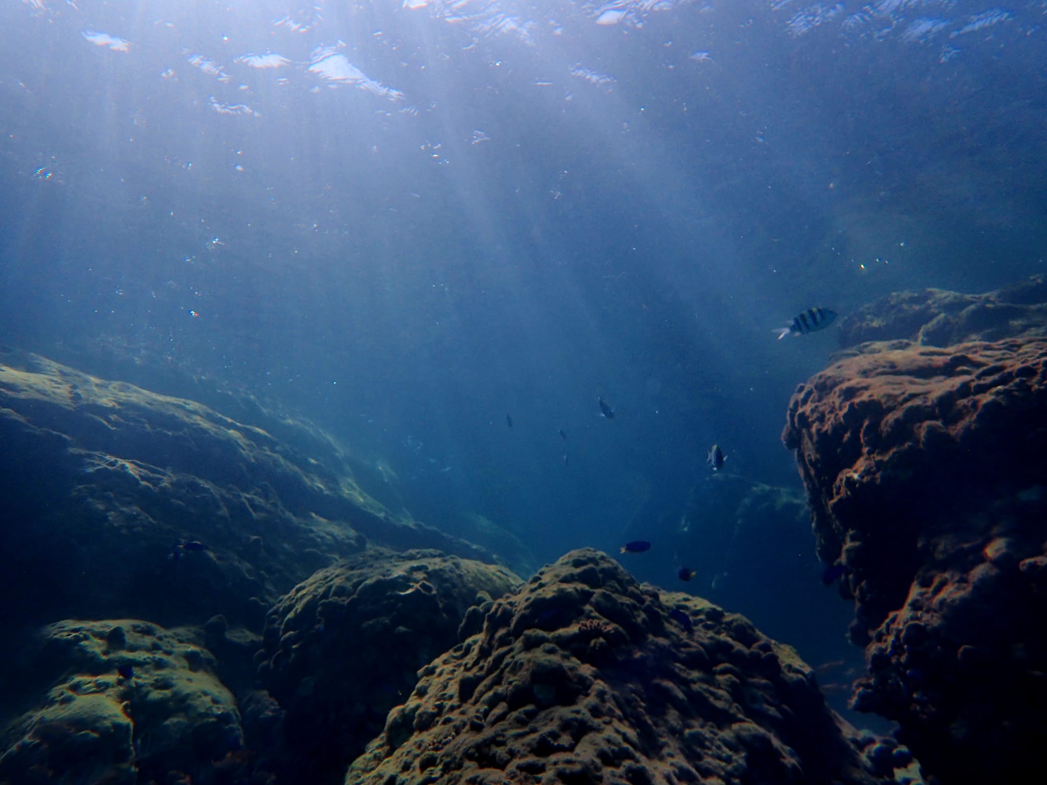 382718810_2990992351032266_1058474173209019590_n