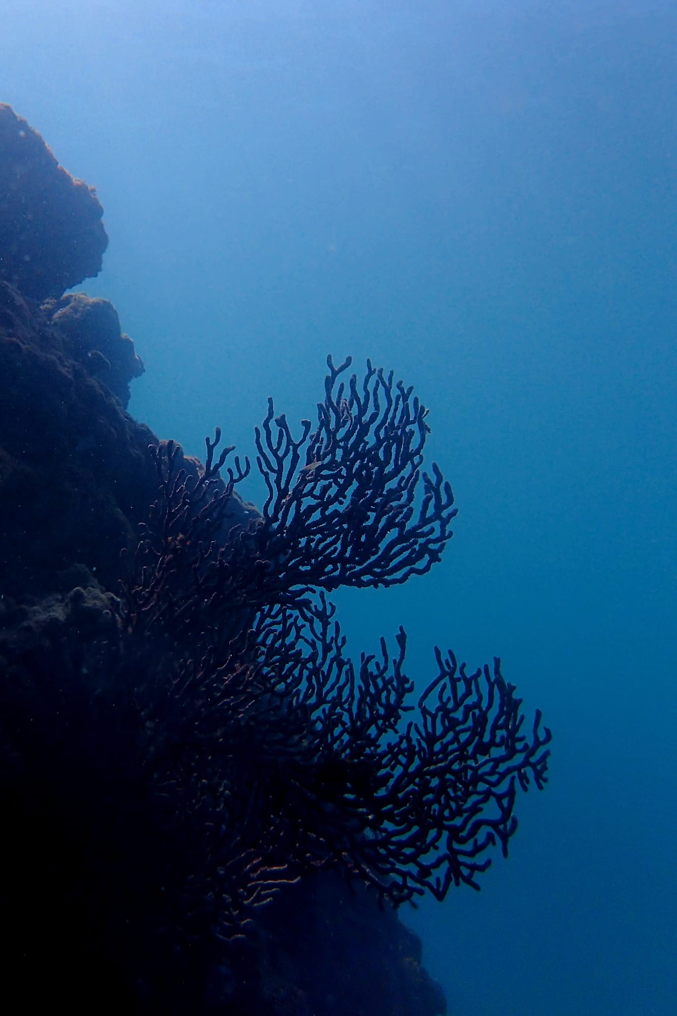 382745239_2990992407698927_7245841609778204407_n